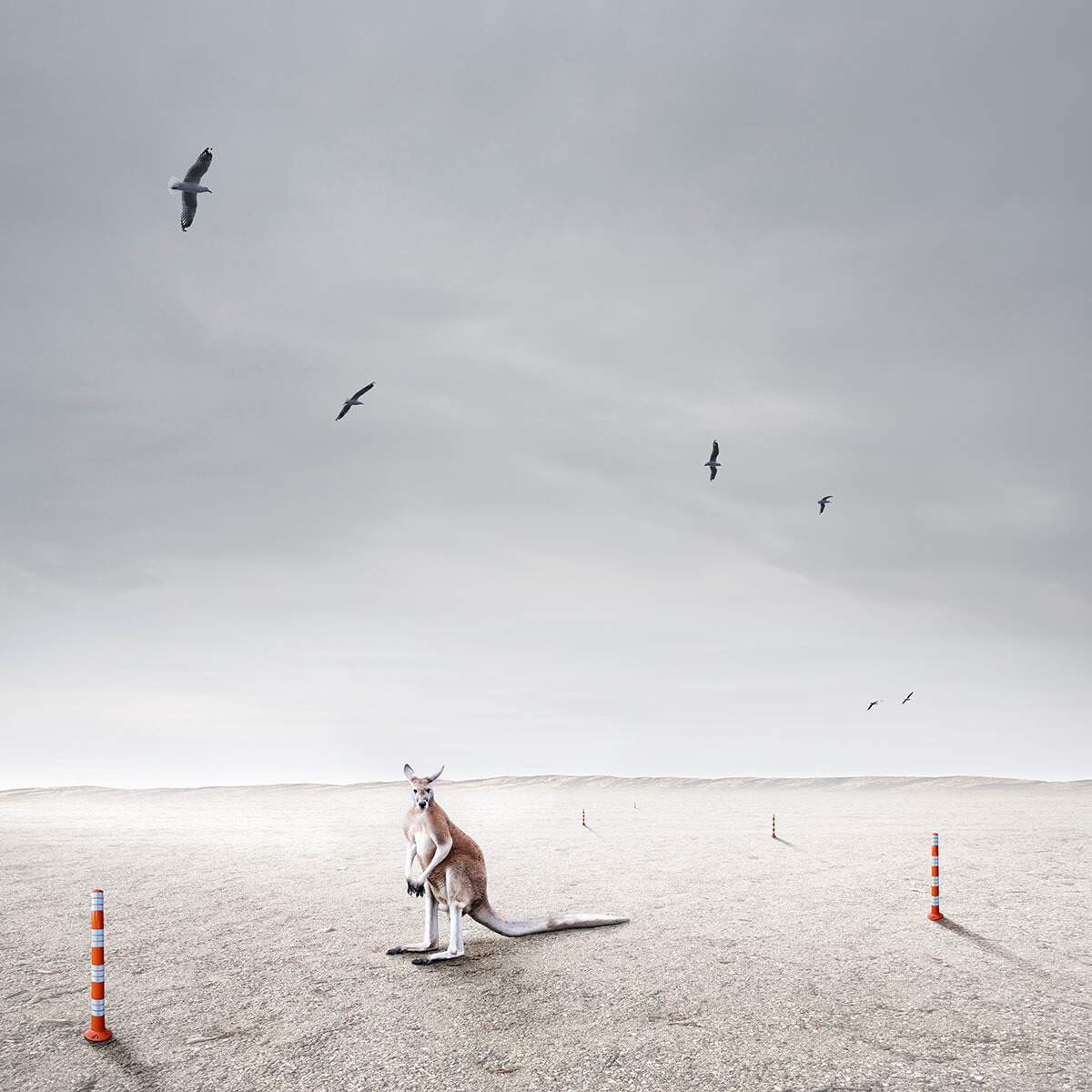 Победители премии Minimalist Photography Awards 2022 года. Фотограф — видеограф в Москве Дмитрий Менделеев