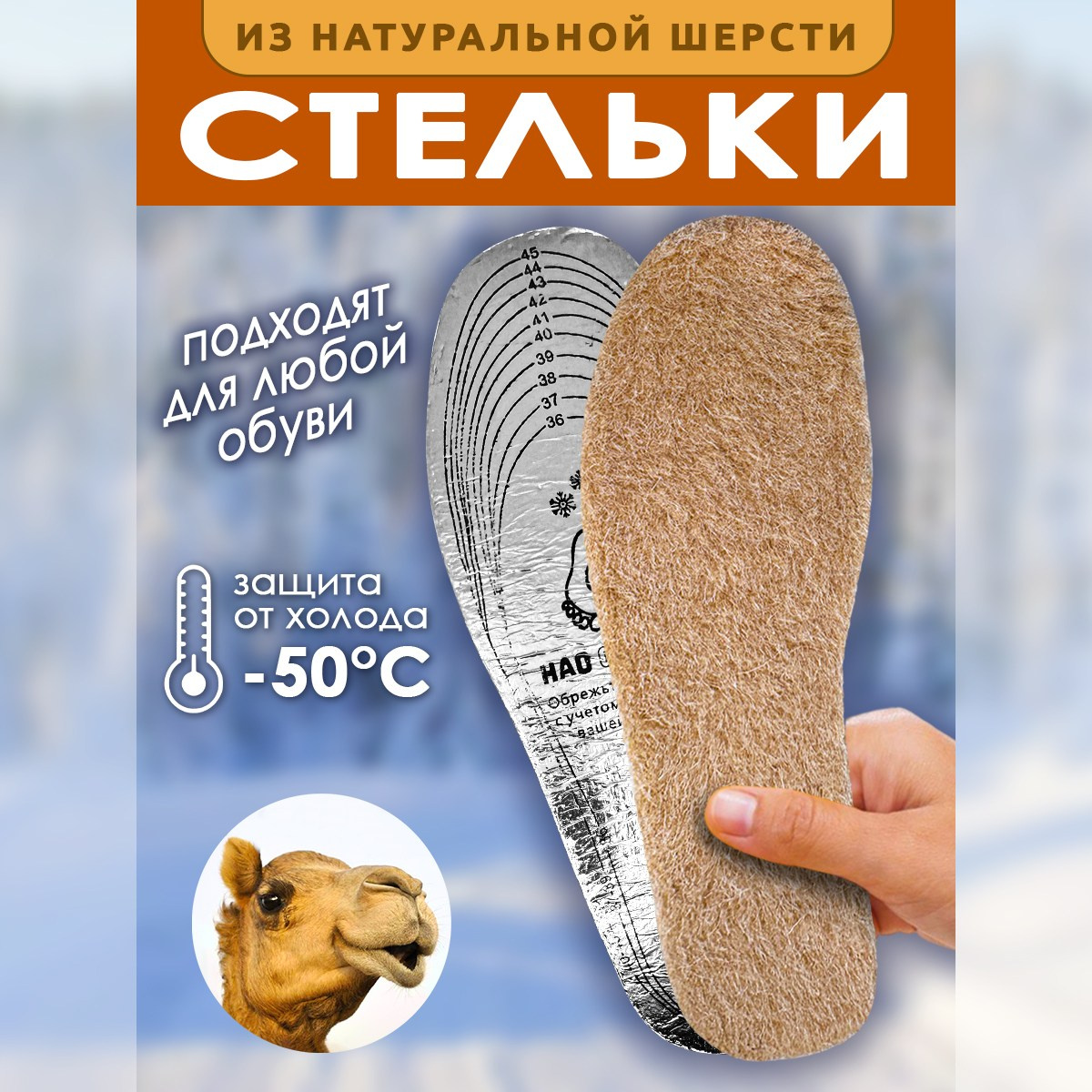 Инфографика