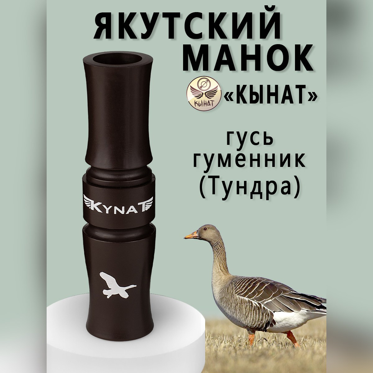 Инфографика