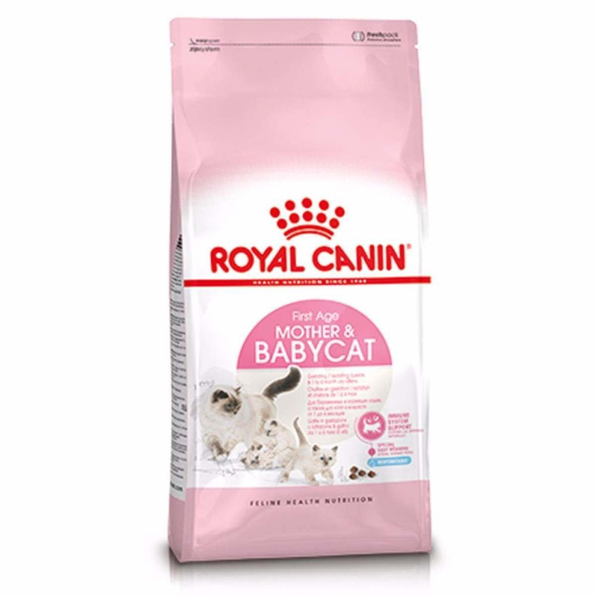 Как подготовиться к переезду котенка. Питомник рэгдолл Loyal Adore