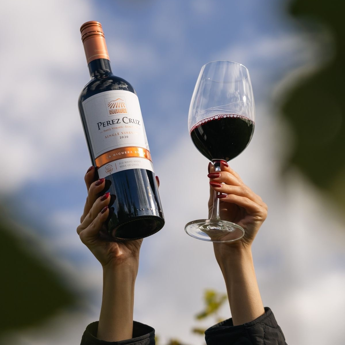 Прайс и услуги. Anushikcreates