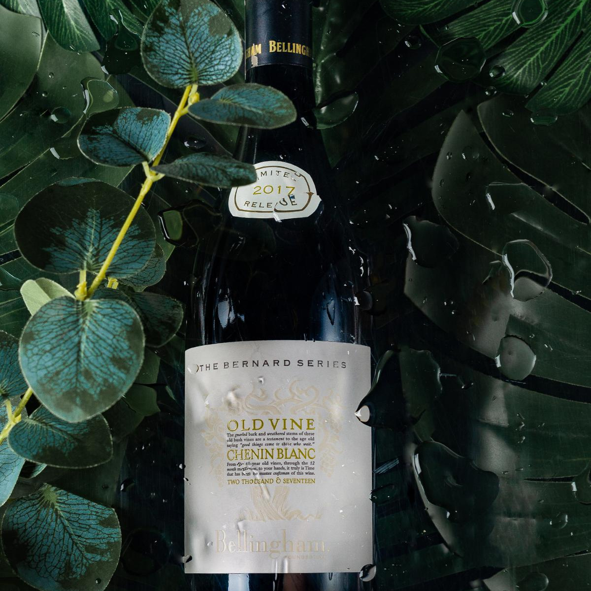 Фотограф в Алматы Велиляева Алена