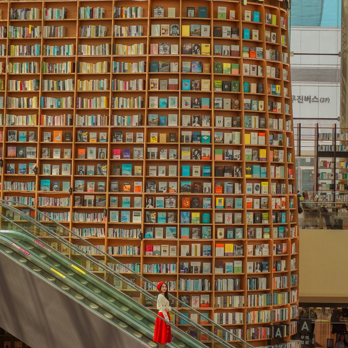 Сеул май 2026 Фестиваль фонарей. Фотограф Яна Яркая