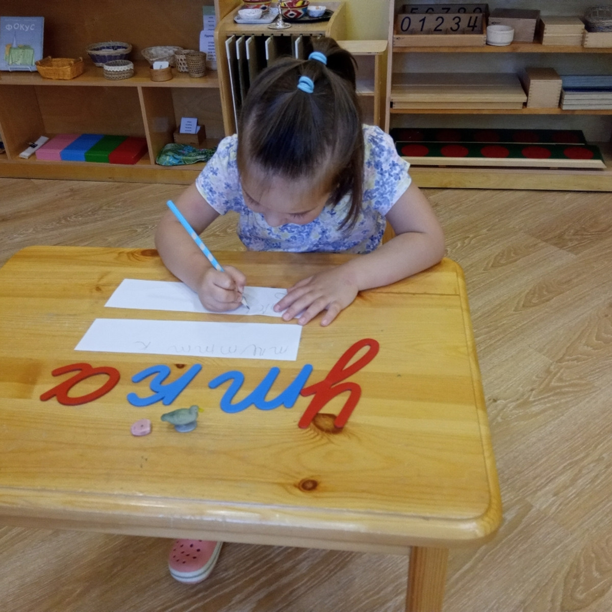 МОНТЕССОРИ-САД «ДЕТСТВО»