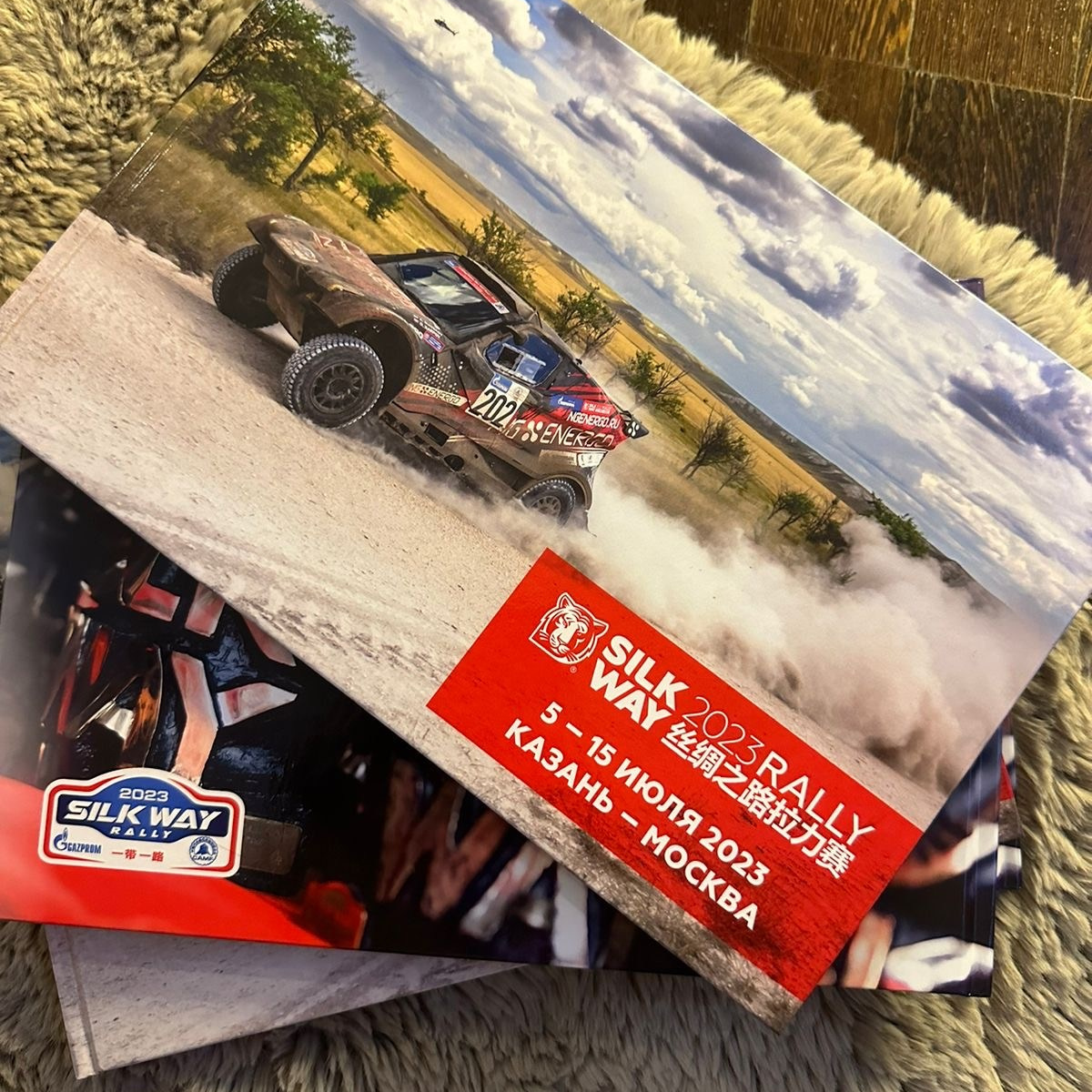 ФОТОКНИГА. Спорт и свет | Лина Арнаутова