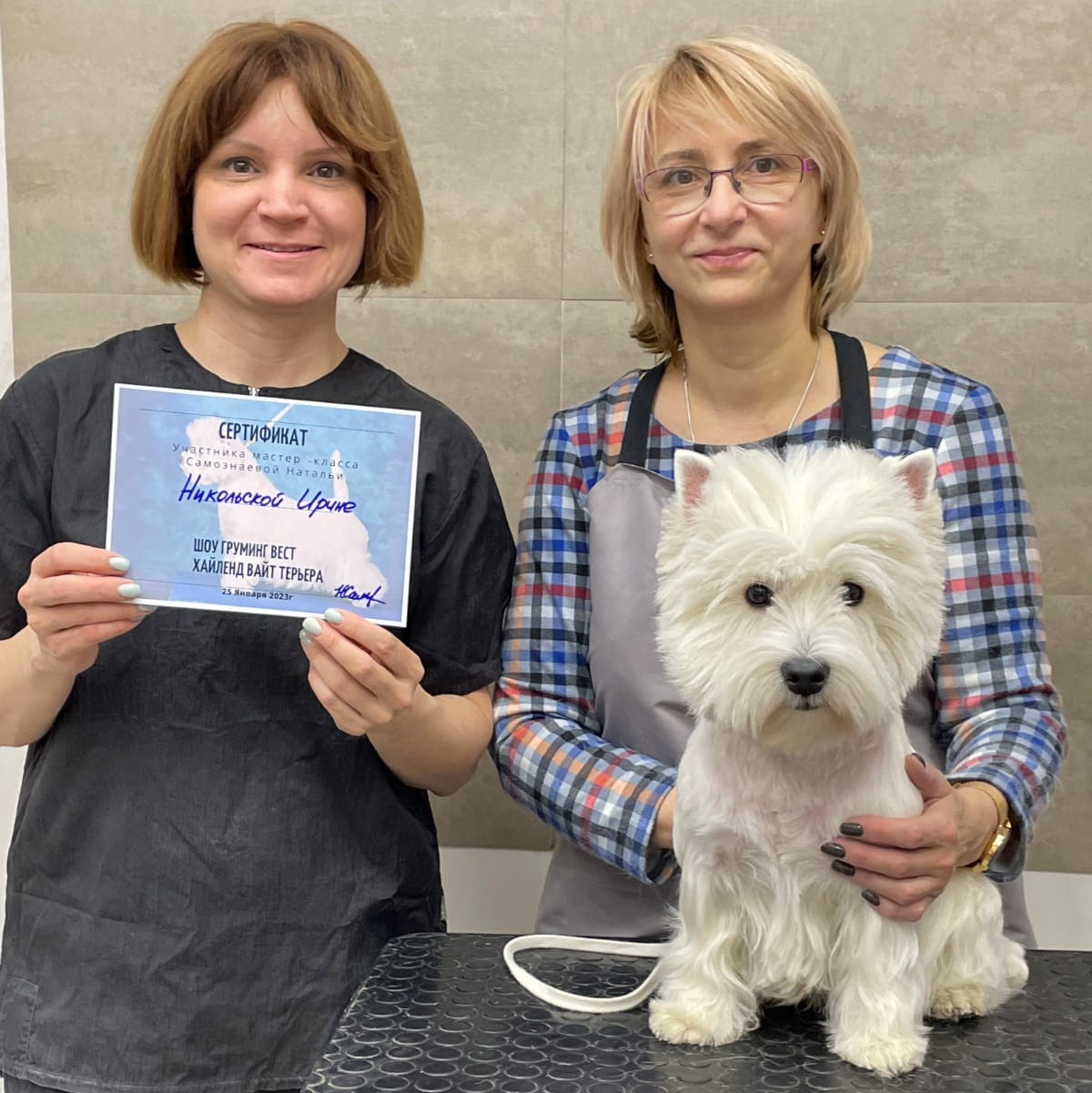 Питомник собак породы вест хайленд вайт терьер в Москве. Питомник собак породы вест хайленд вайт терьер в Москве