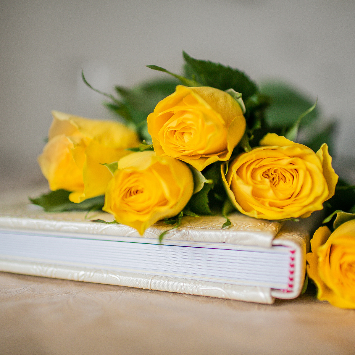 Детские фотокниги. Детский семейный фотограф Великие Луки Анна Никонова