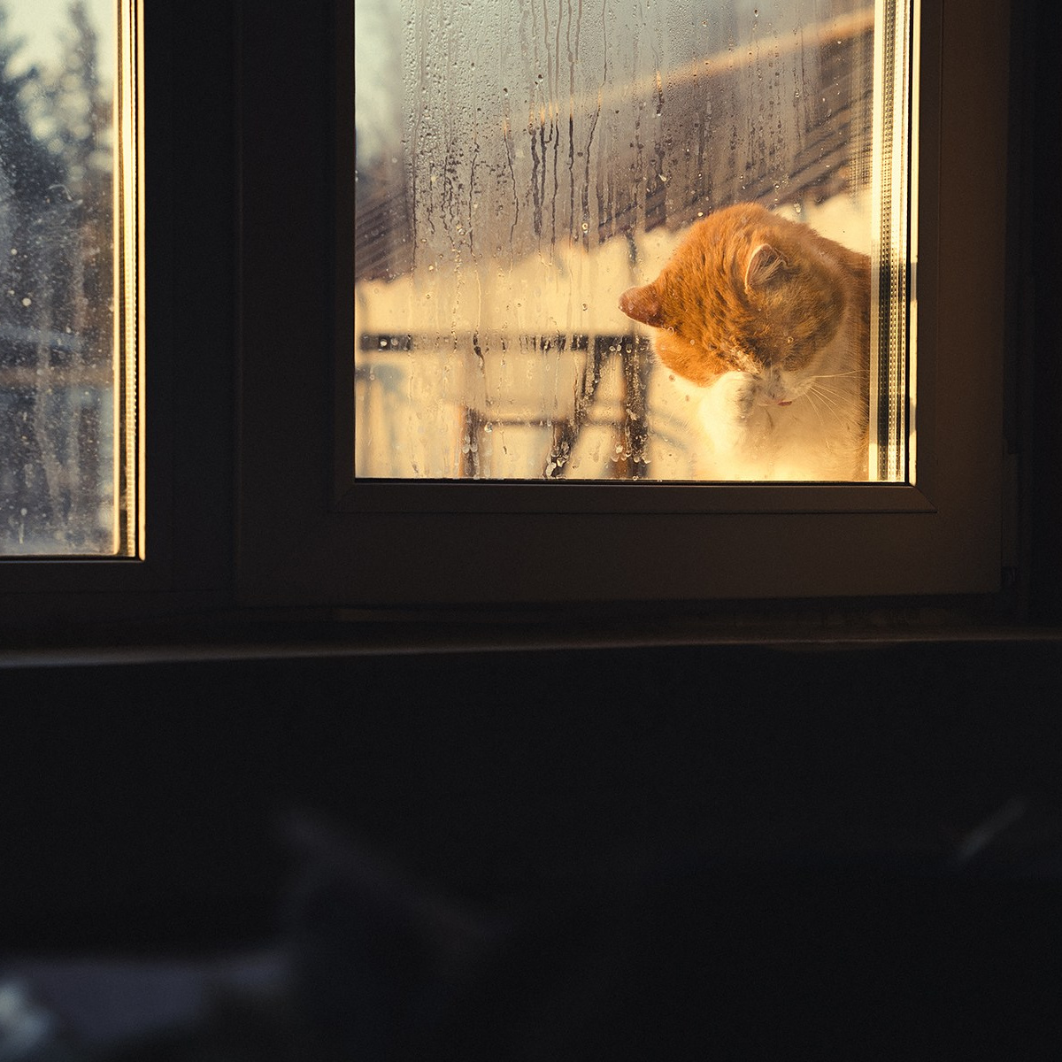 Контакты. Фотограф Михаил Чирков