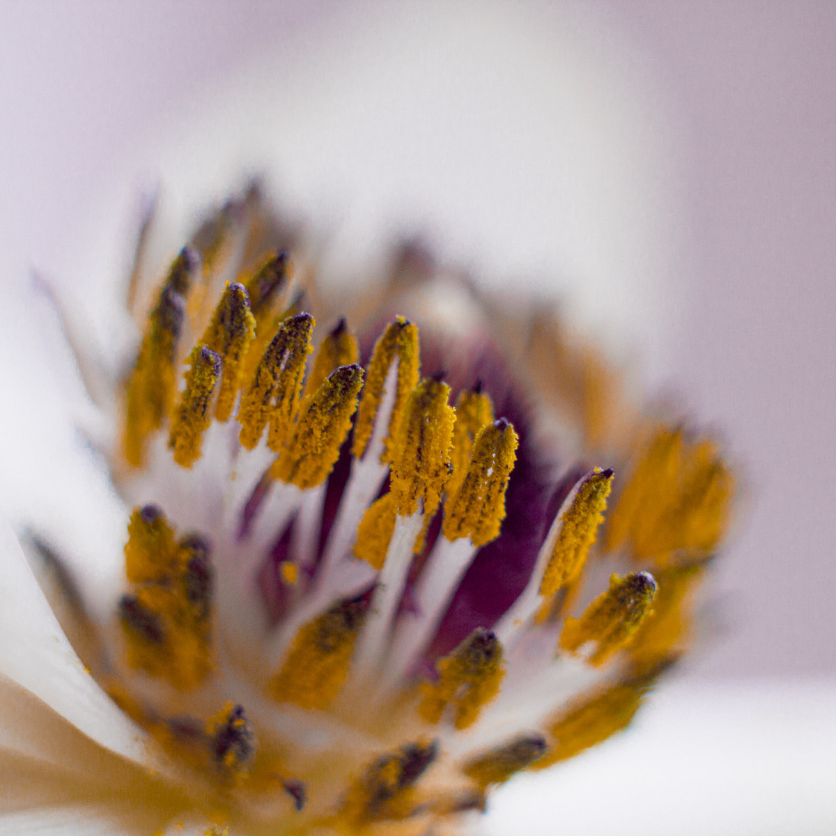 Контакты. Фотограф и видеограф в Ставрополе Инна Попова