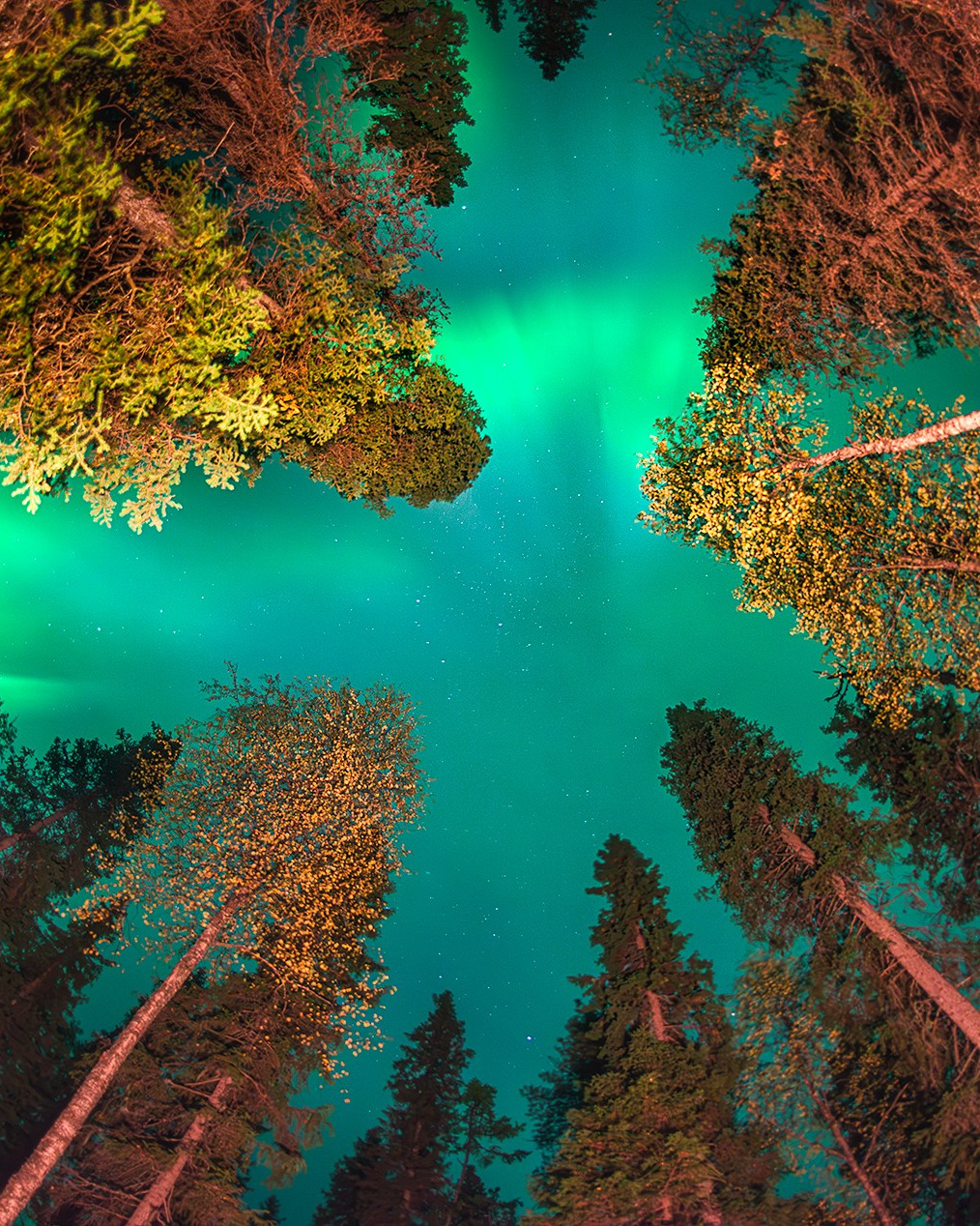 Аэросъемка в Архангельске, аэрофотосъемка аэровидеосъемка, фотографии на календарь, фотограф Александр Ермолин 