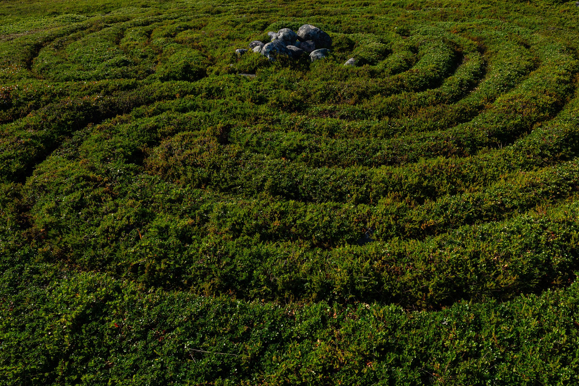 Вавилоны: исследование и практика