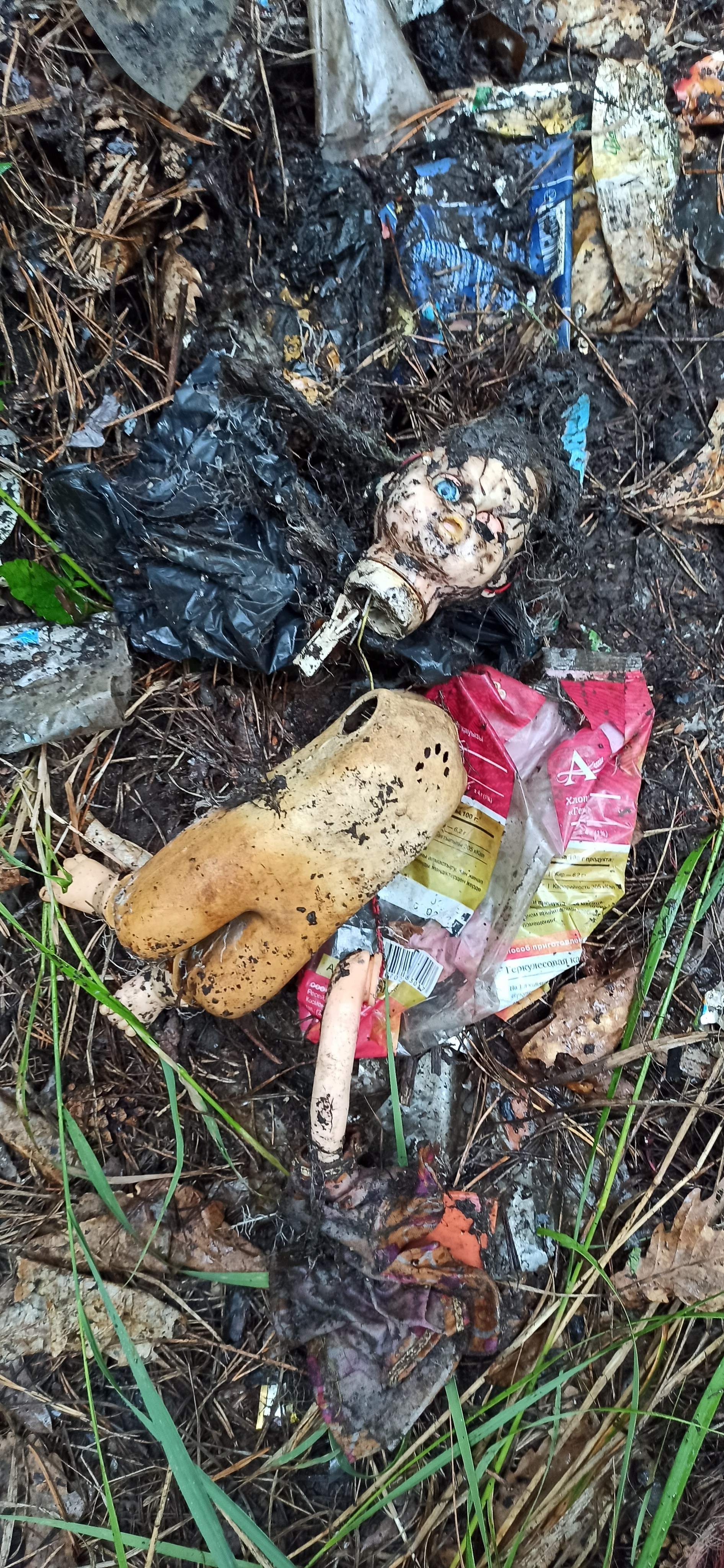 Осознанный землянин. Художник Рыбак Николай