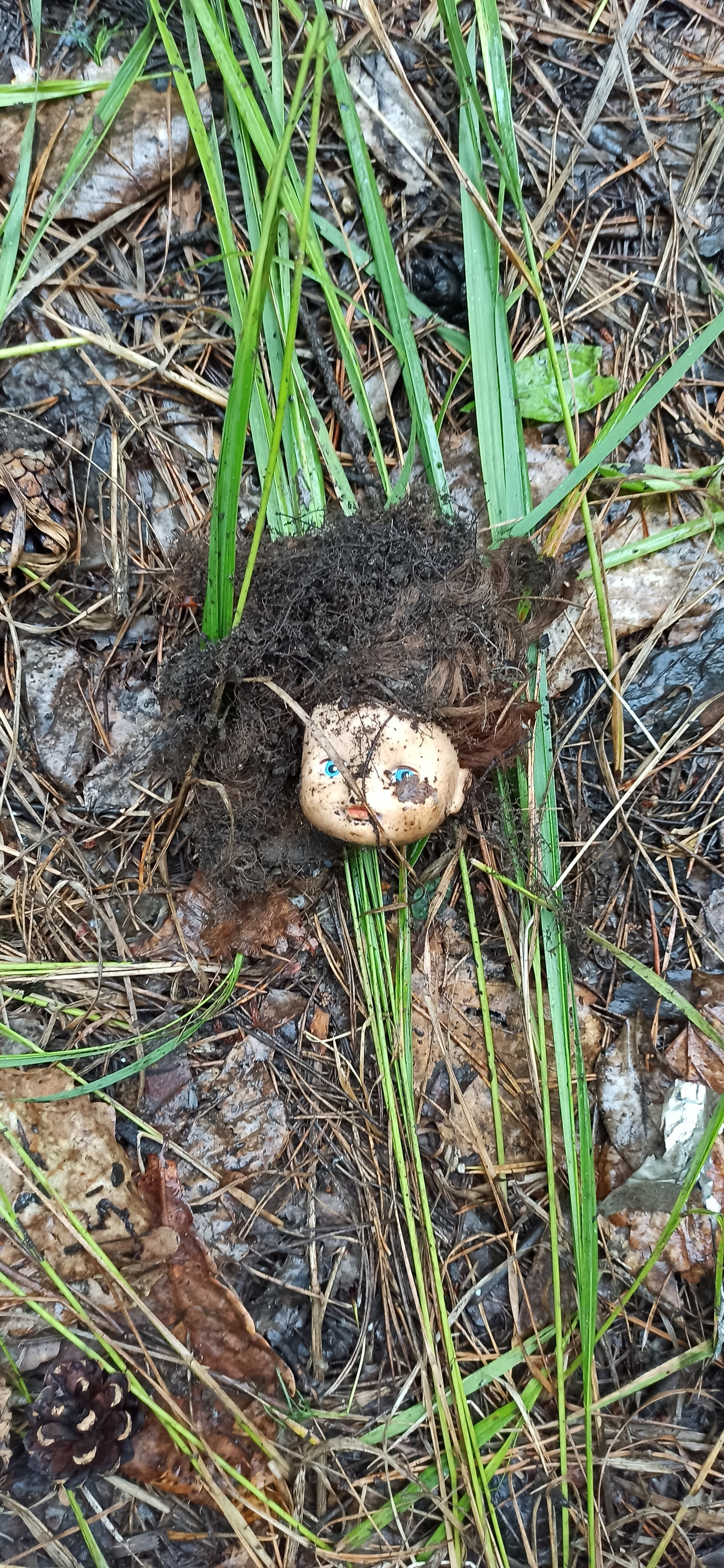 Осознанный землянин. Художник Рыбак Николай