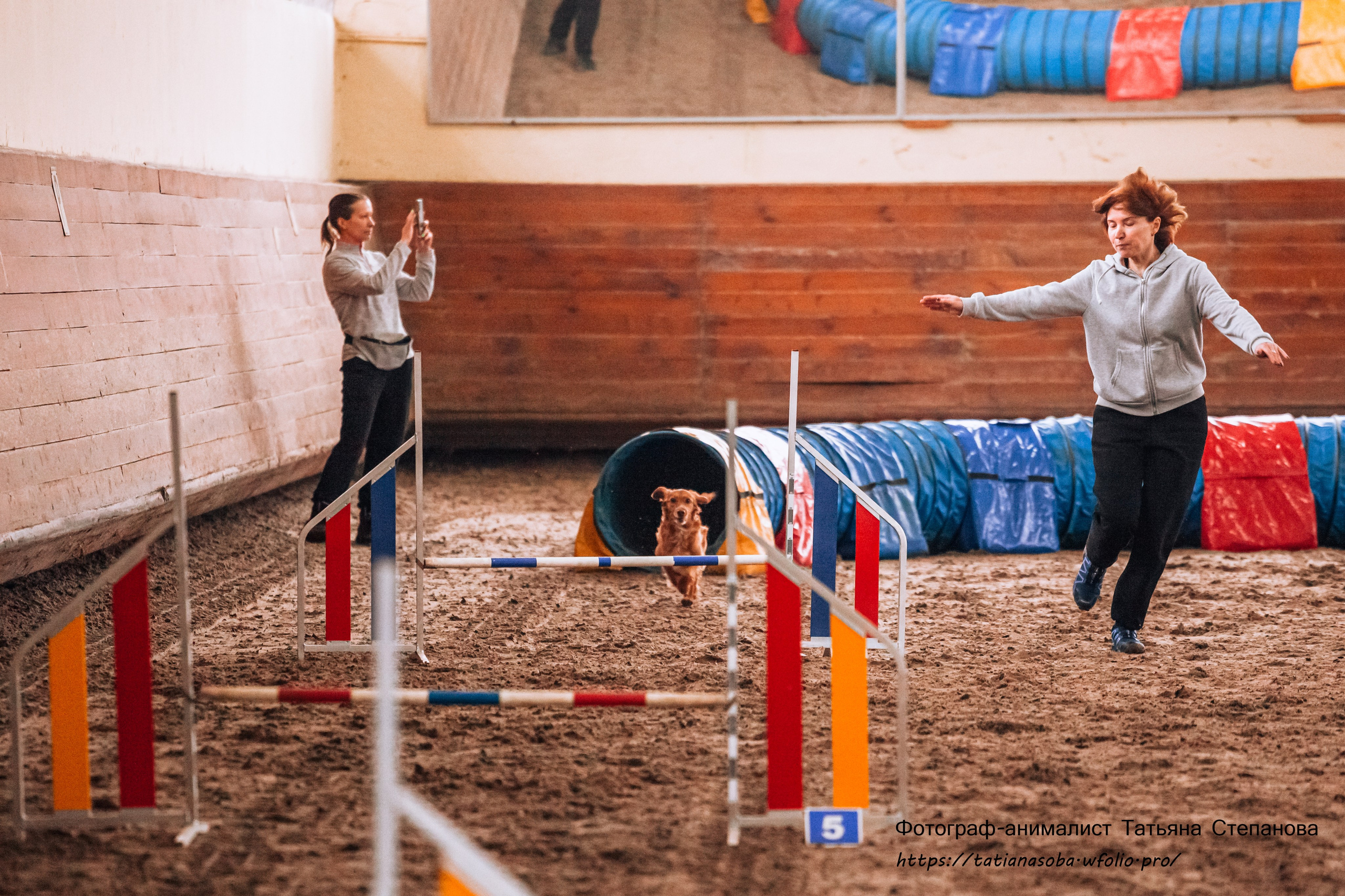 Соревнования по Аджилити 25.02.2024. Фотограф-анималист Татьяна Степанова