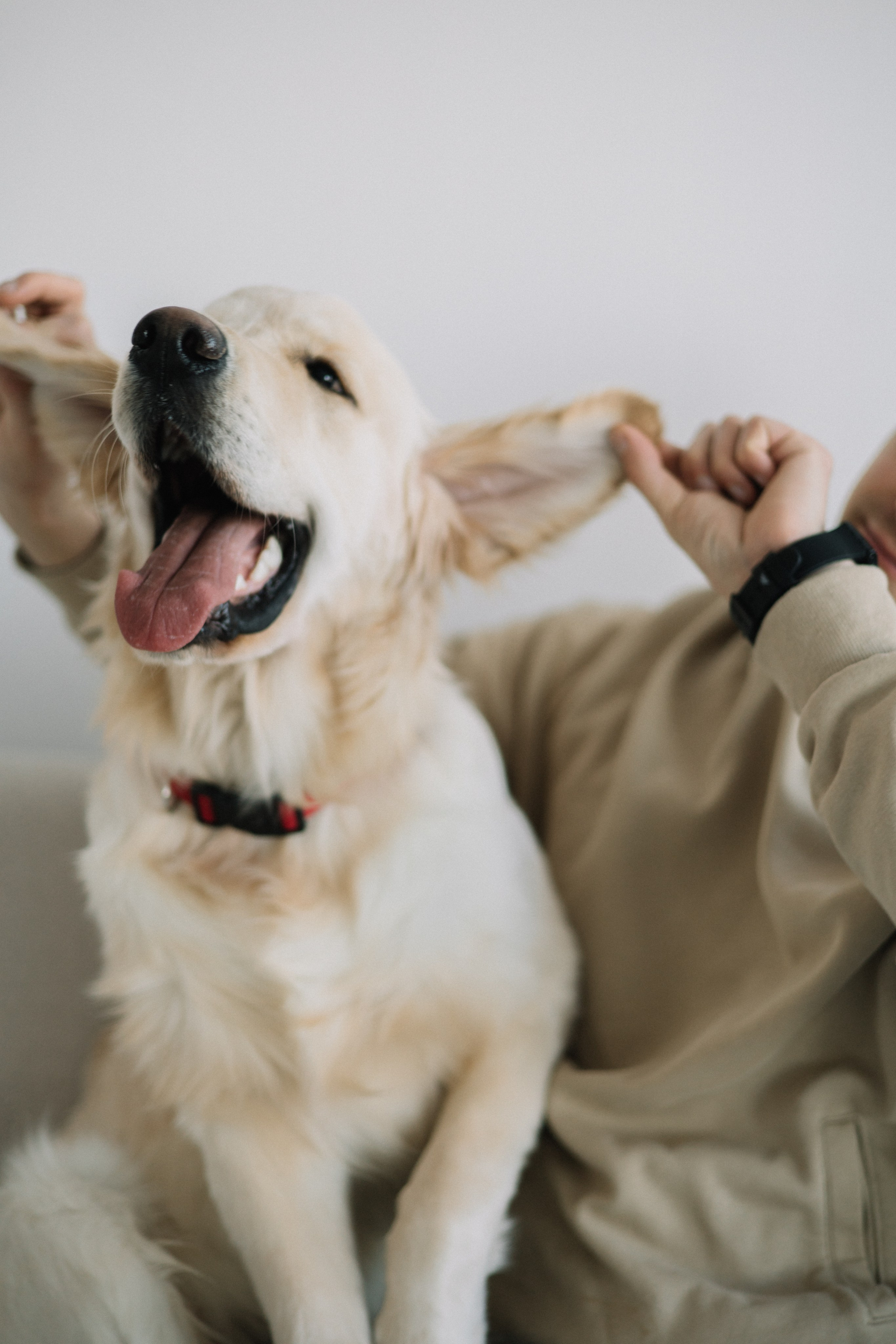 Семья Стасик