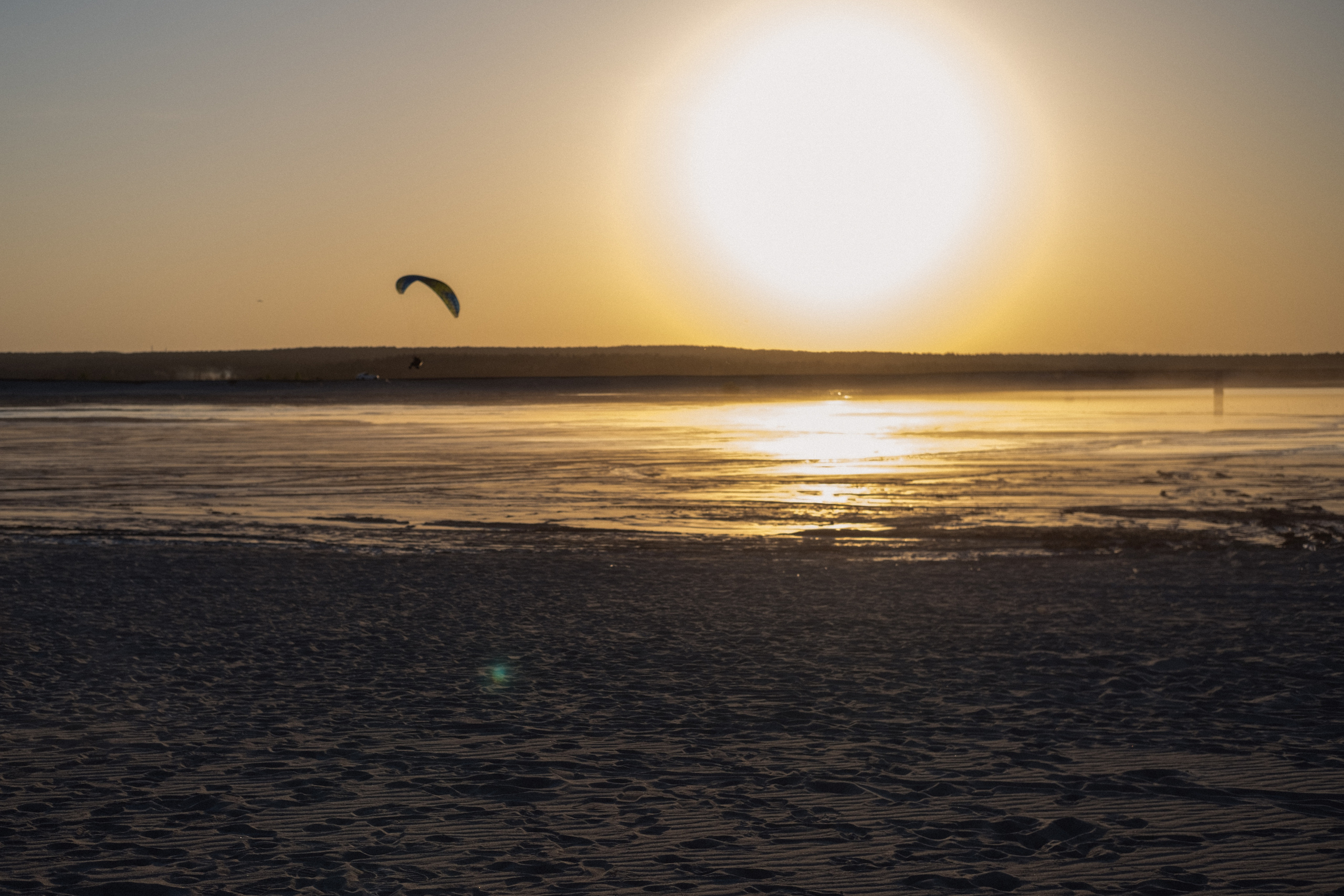 Дмитрий и Анастасия. Семейный и свадебный фотограф