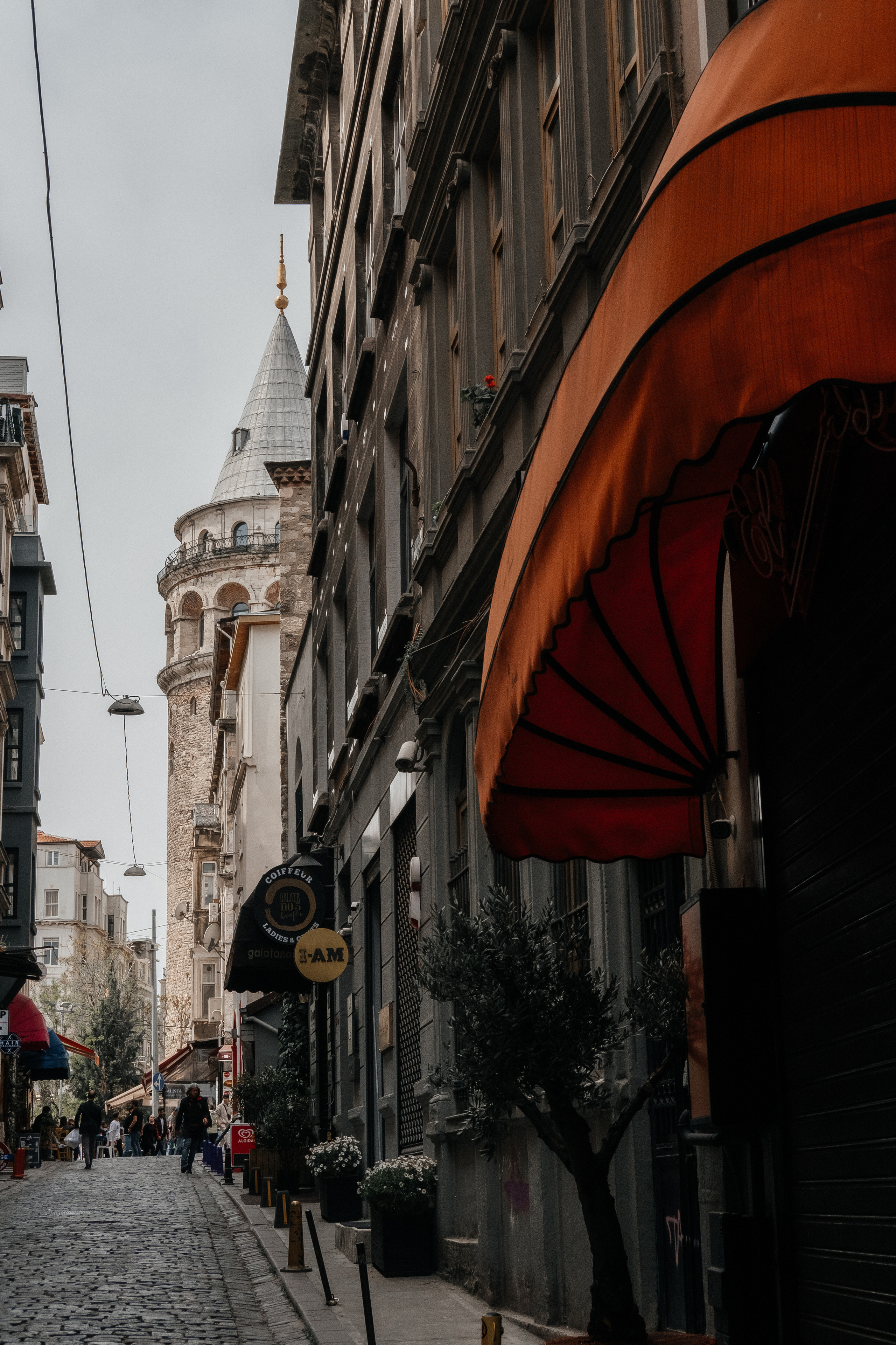 Олег и Анастасия. Семейный и свадебный фотограф