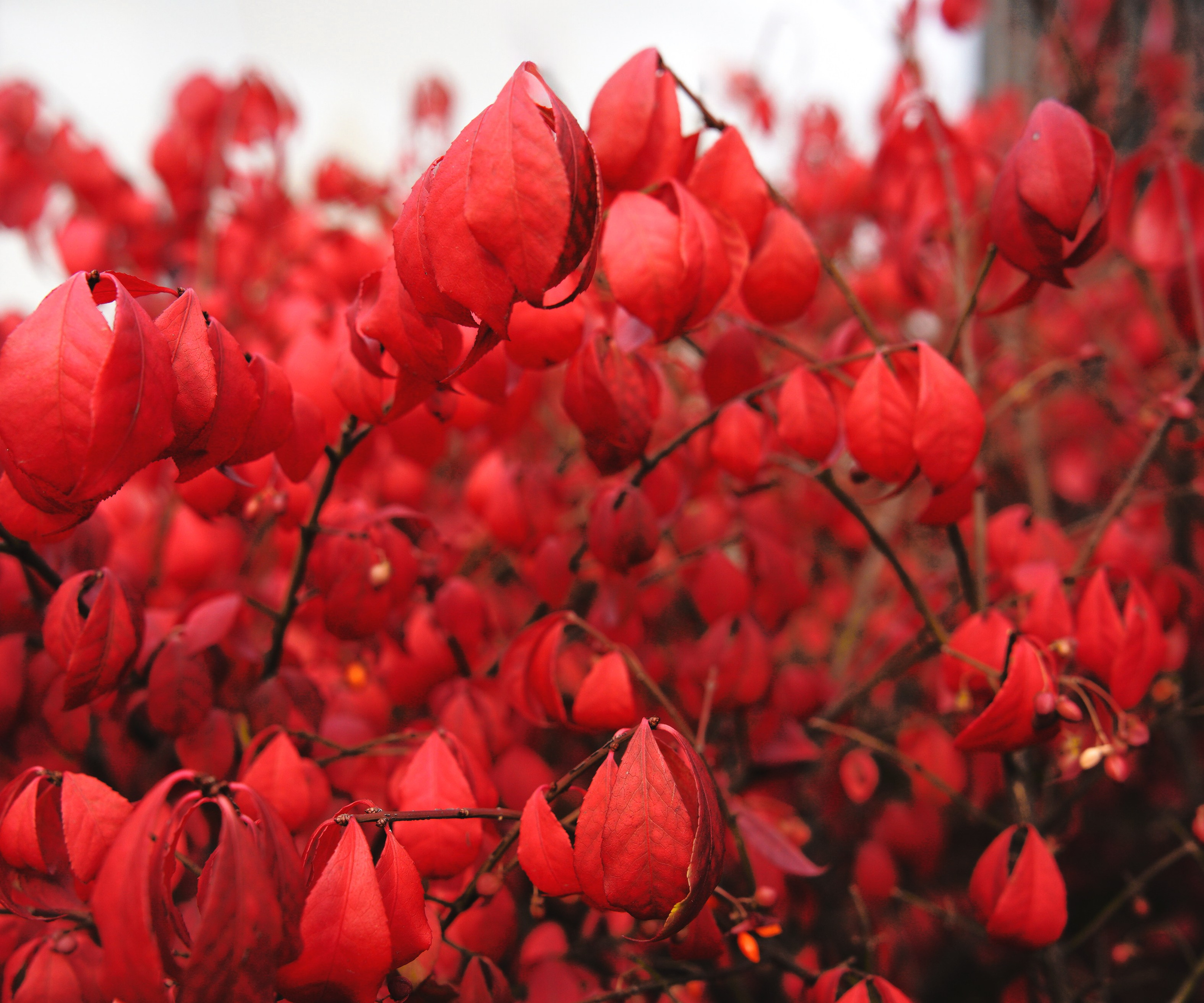 Осень 2025. Фотограф из Москвы — DASHA NOVA | Авторская фотография в разных жанрах