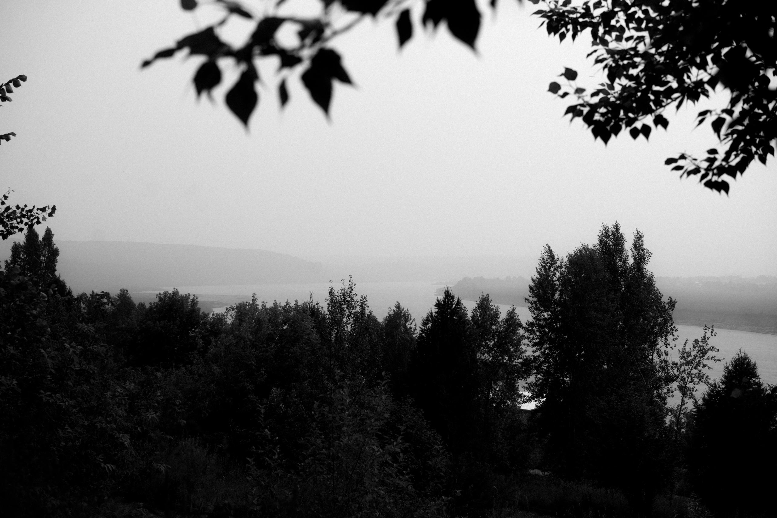 Лагерный сад, Томск. Veronika Popadeikina Photographer