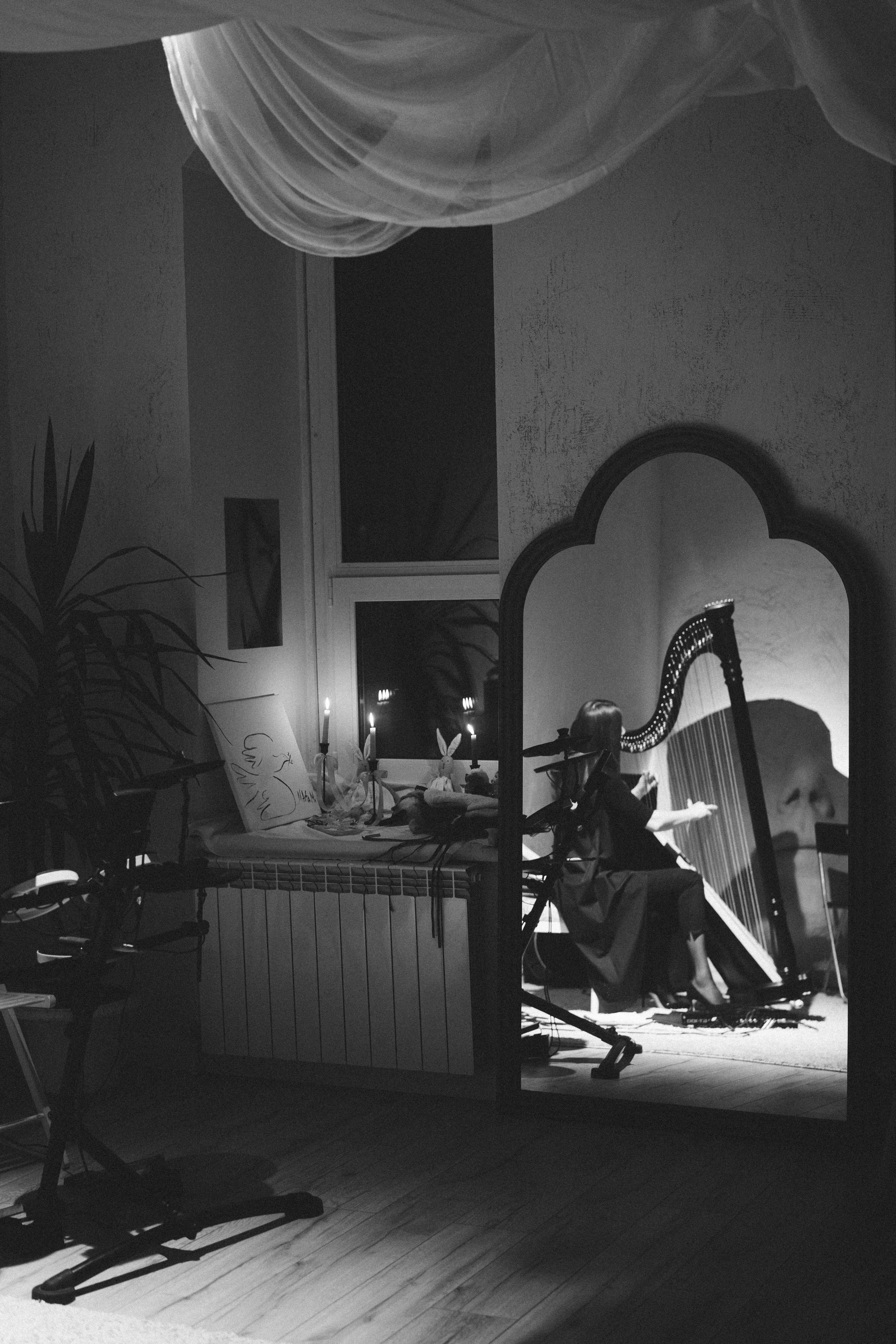 Арфовый дом. Veronika Popadeikina Photographer