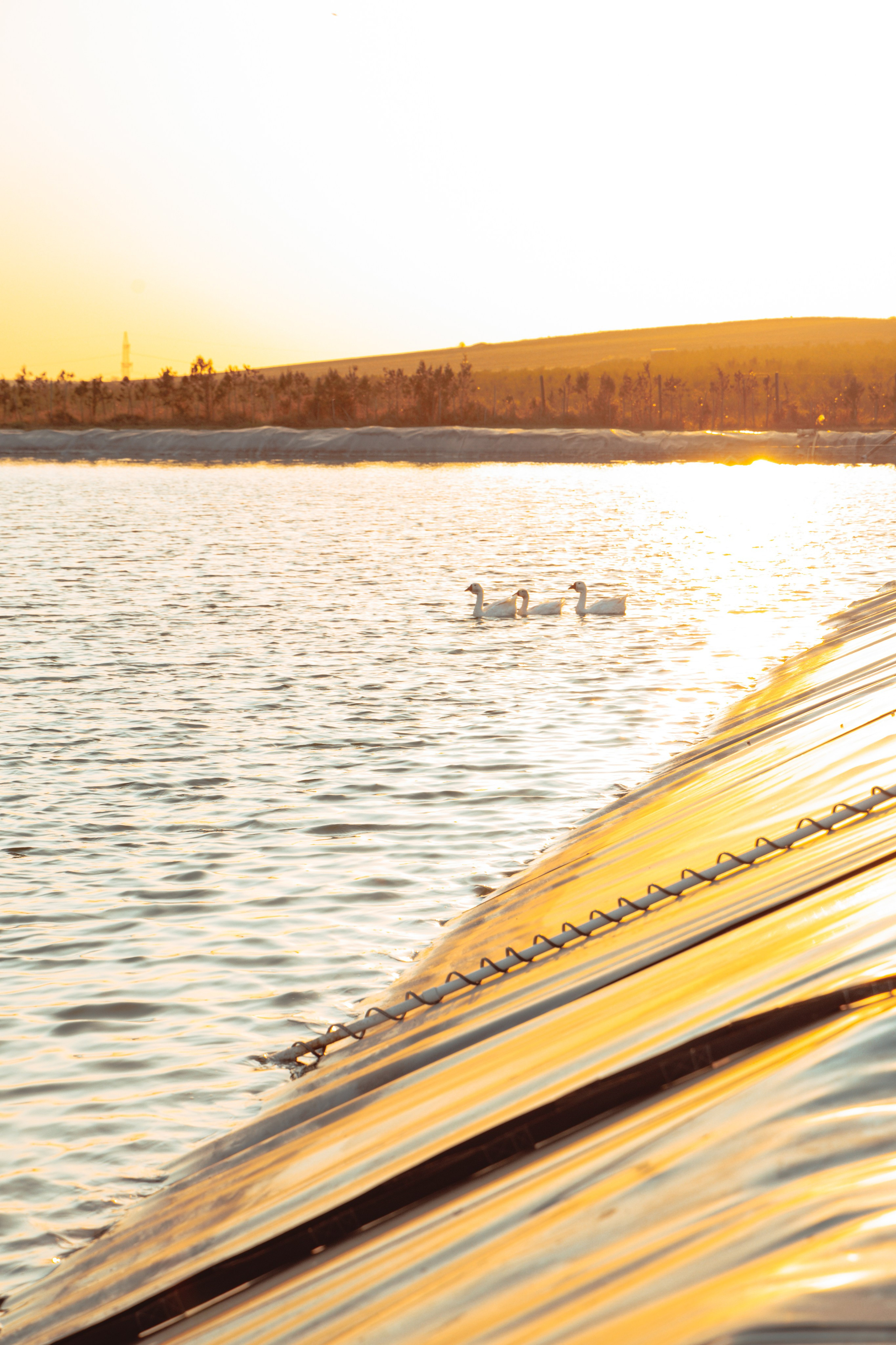 Domik в саду. Артем Корнев Фотограф