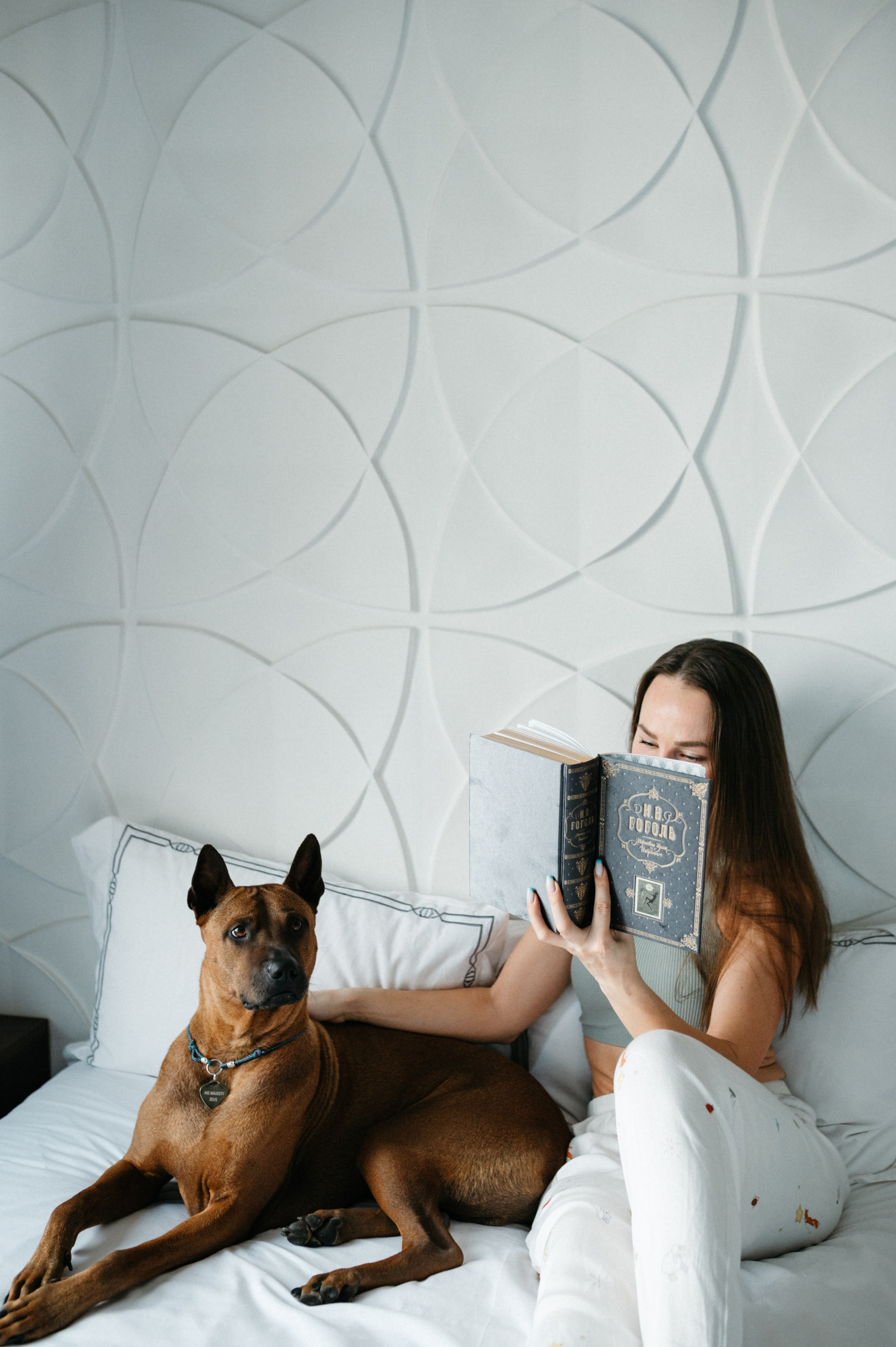 Оксана и Зевс. Фотограф анималист в Москве Ольга Агушева