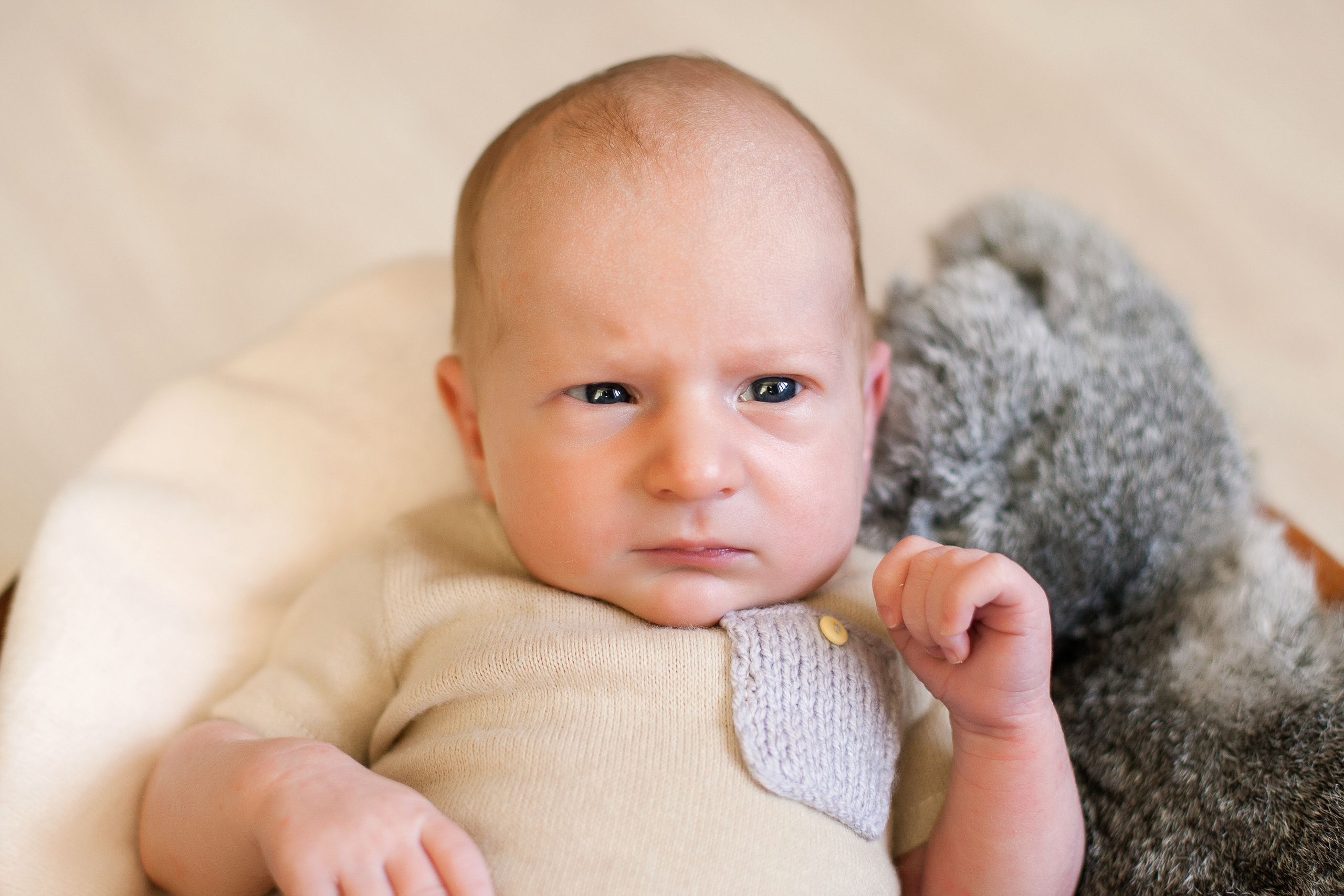 Фотосессия новорожденных в Брянске. Фотограф новорожденных в Брянске Анжелика Прохоренкова