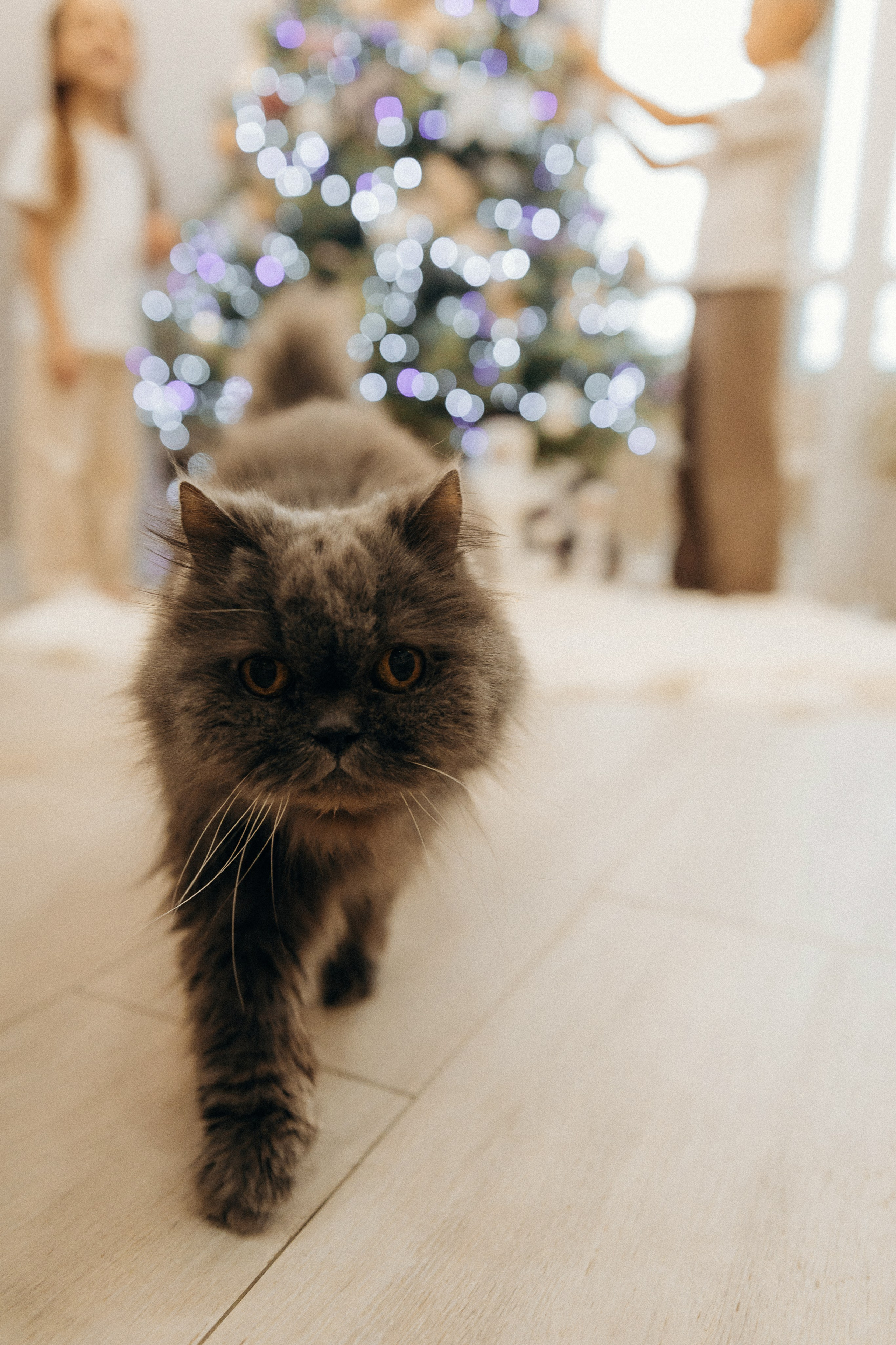 Сергей, Наташа, Тимур и Вероника. Семейный фотограф и детский фотограф в Волгограде Алеся Бутакова — дет