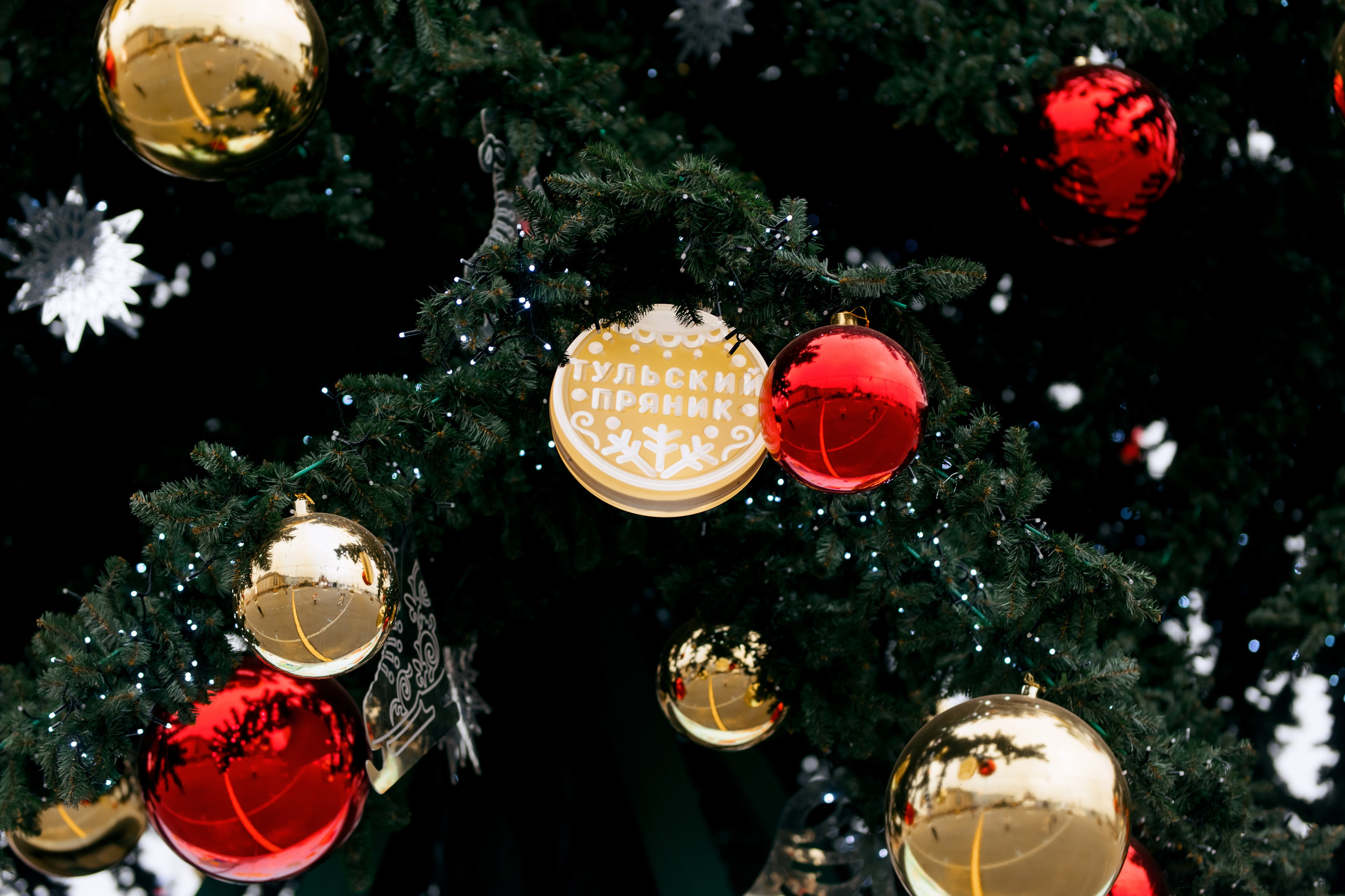 Наша новая елка. Свадебный и портретный фотограф — Мария Костина