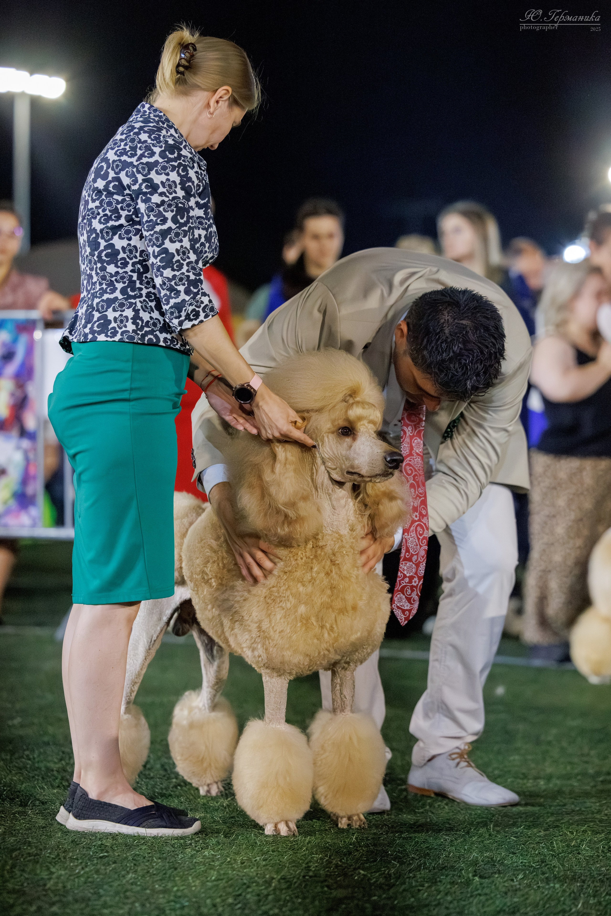 Калининград 25-27.07 Волгоград 1-3.08 2025. Фотограф-анималист Юлия Германика