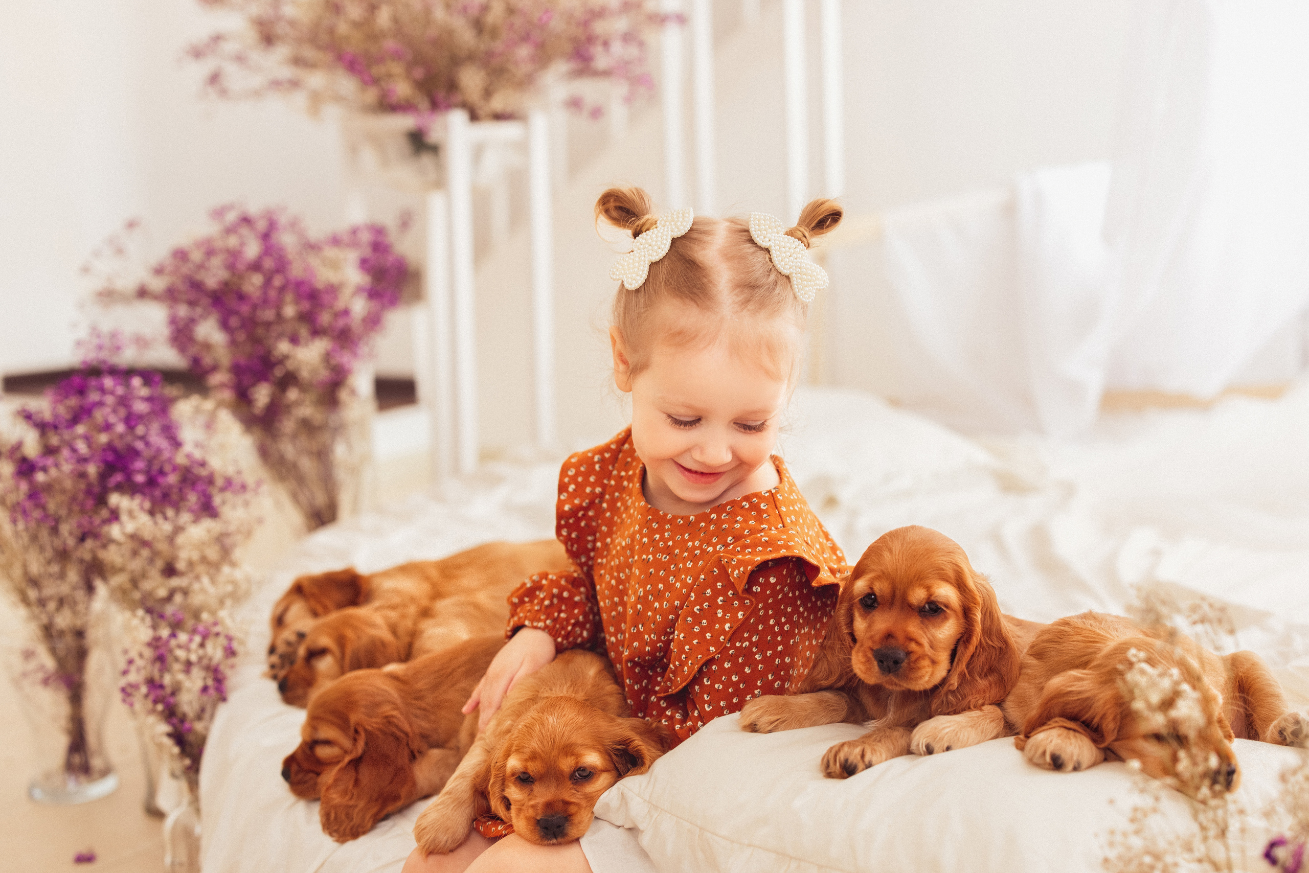 ЩЕНКИ (Кокер — спаниель). Семейный и детский фотограф в Краснодаре Анна Трашкова