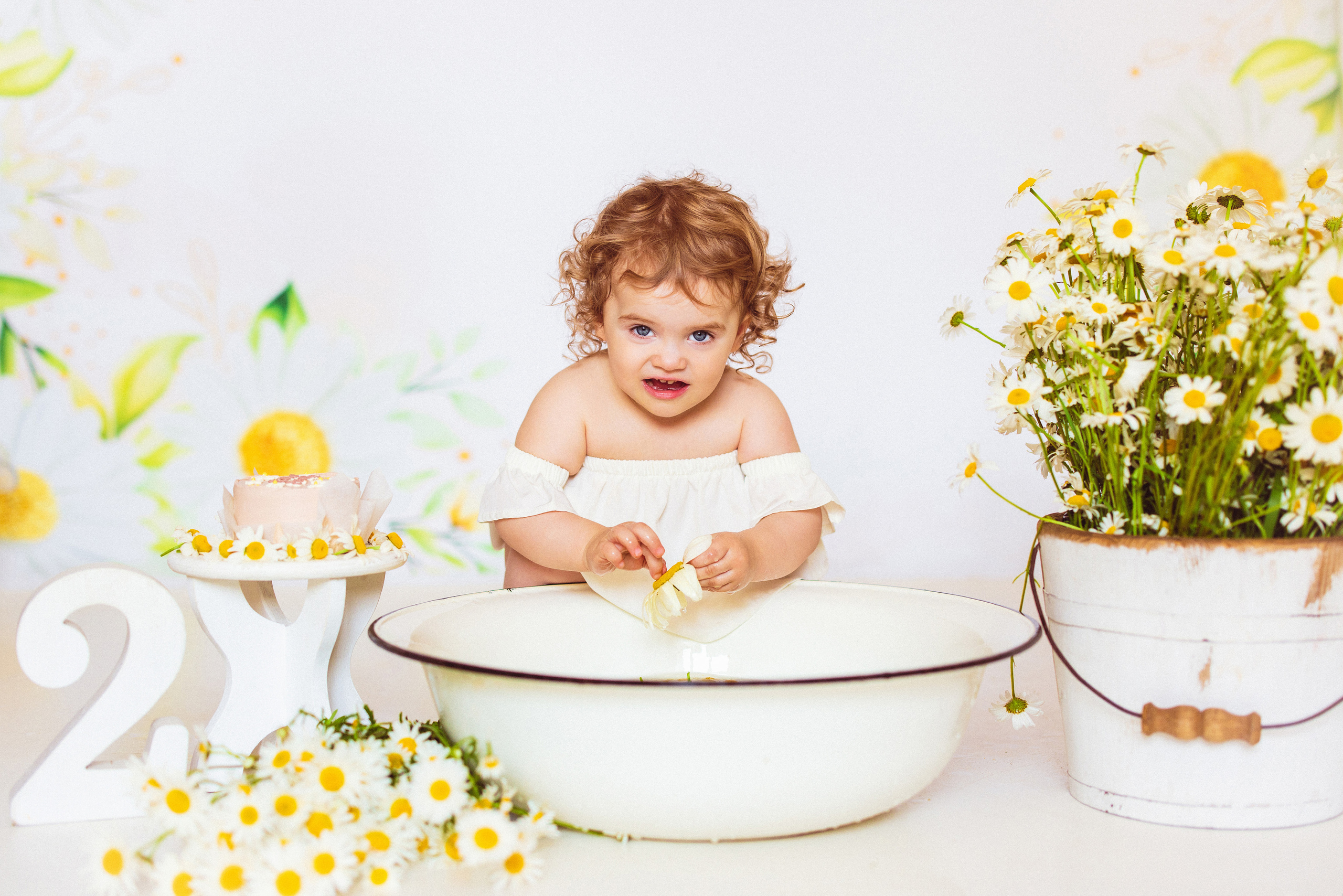 Ромашки, Фотостудия «АНТУРАЖ». Семейный и детский фотограф в Краснодаре Анна Трашкова