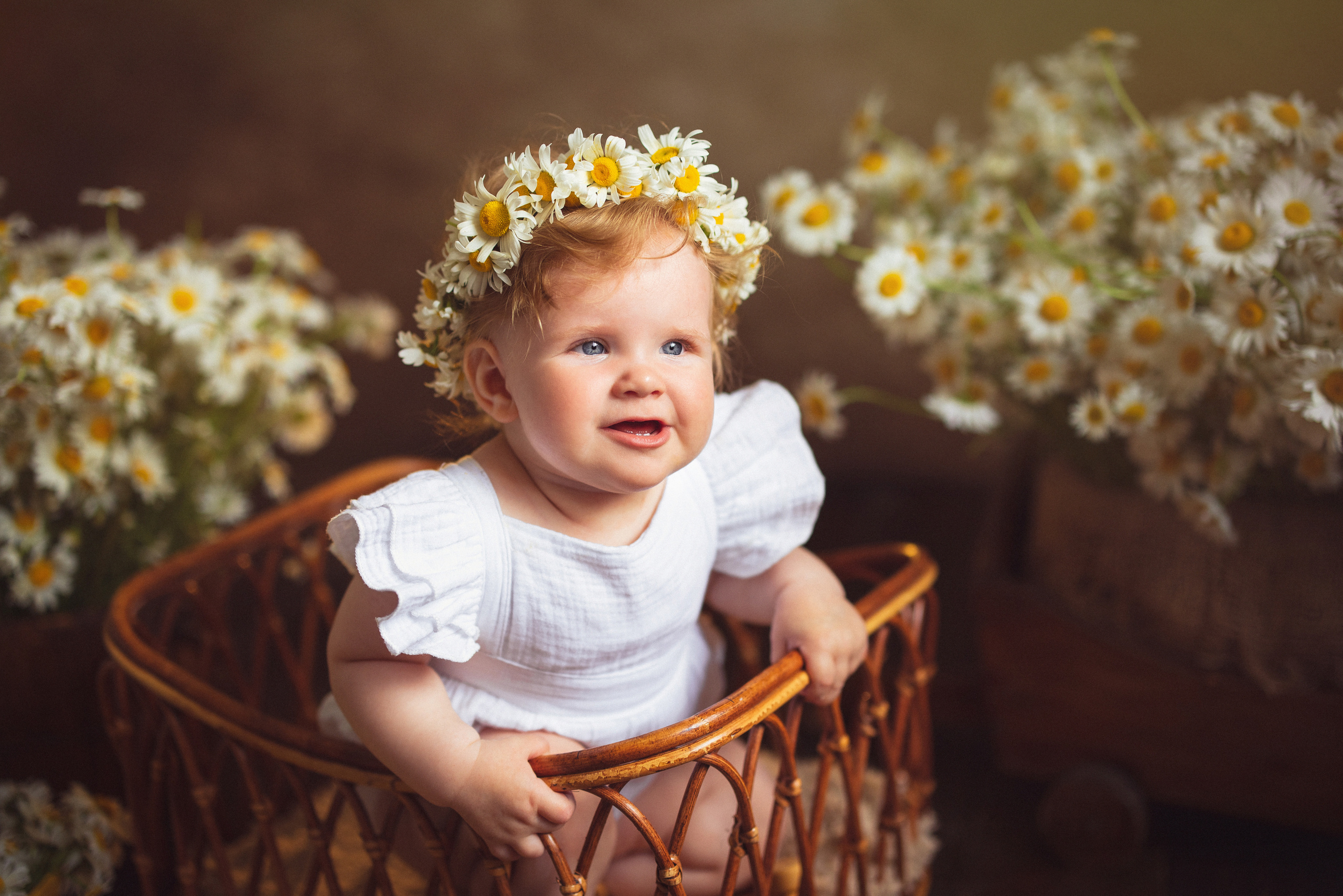 Ромашки, Фотостудия «АНТУРАЖ». Семейный и детский фотограф в Краснодаре Анна Трашкова