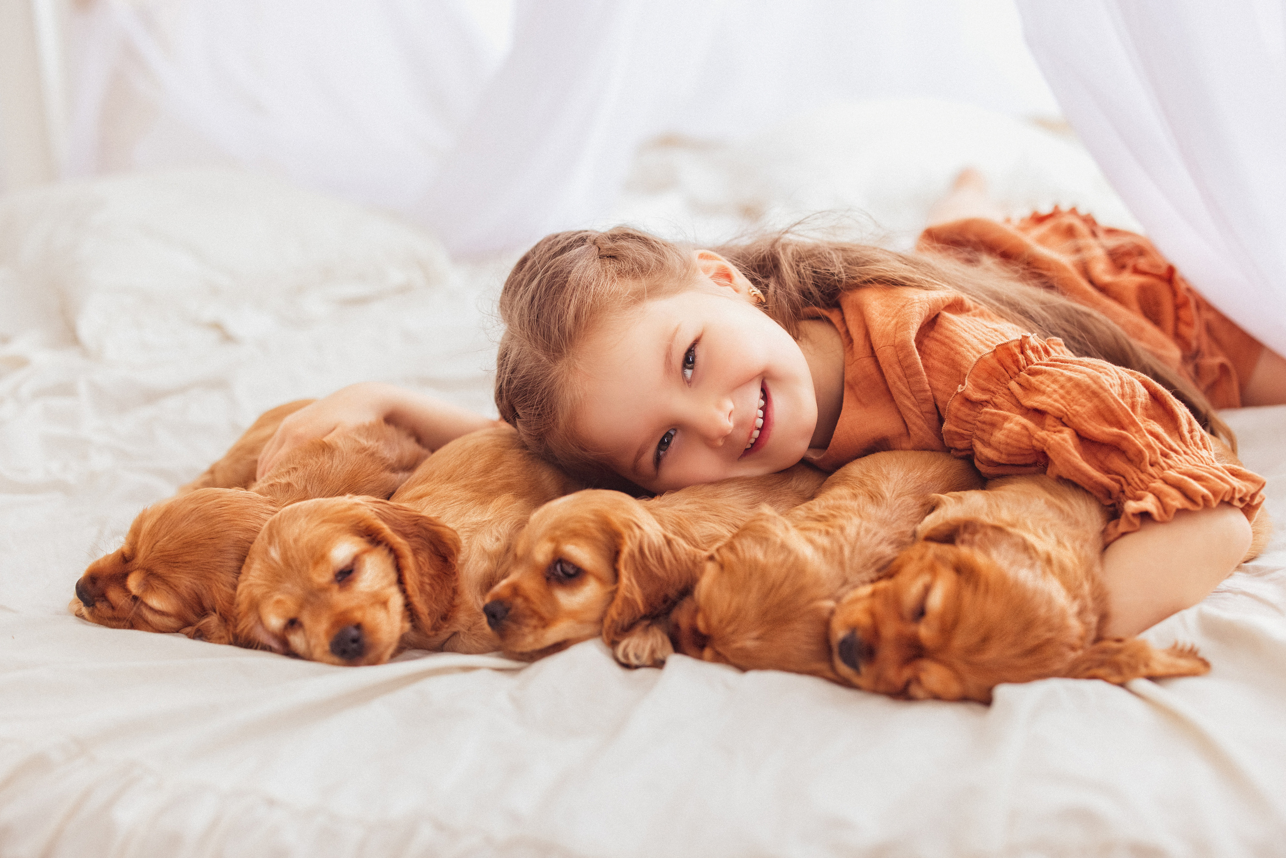 ЩЕНКИ (Кокер — спаниель). Семейный и детский фотограф в Краснодаре Анна Трашкова