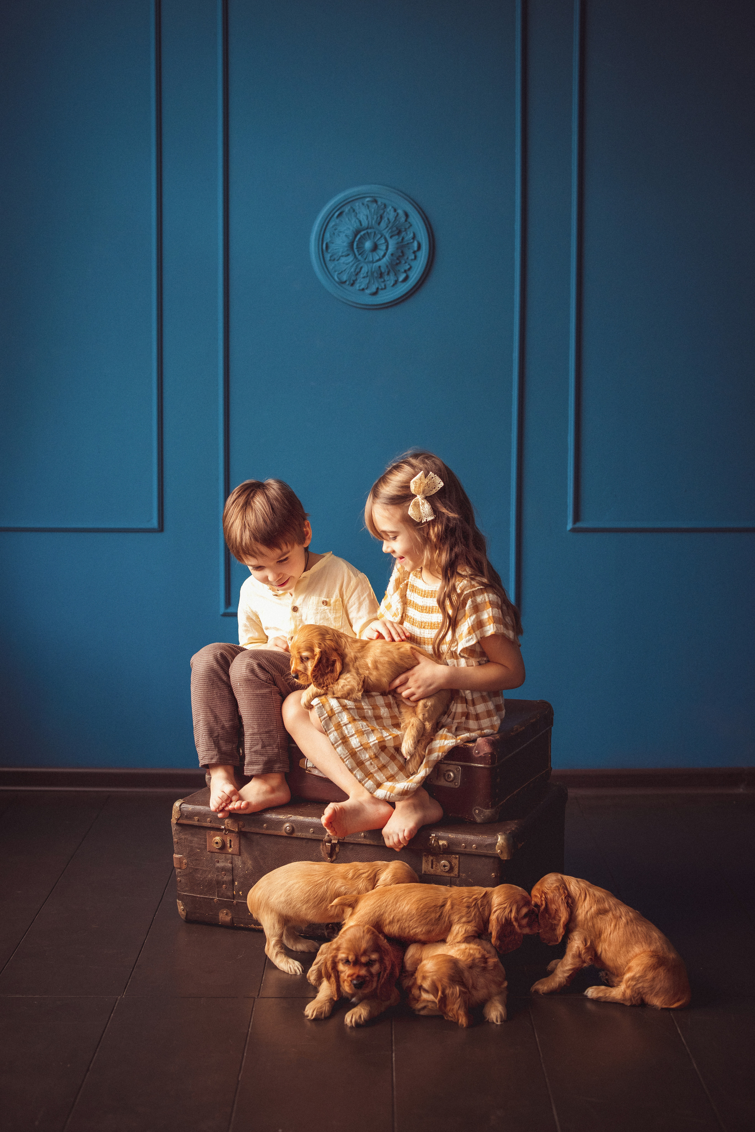 ЩЕНКИ (Кокер — спаниель). Семейный и детский фотограф в Краснодаре Анна Трашкова