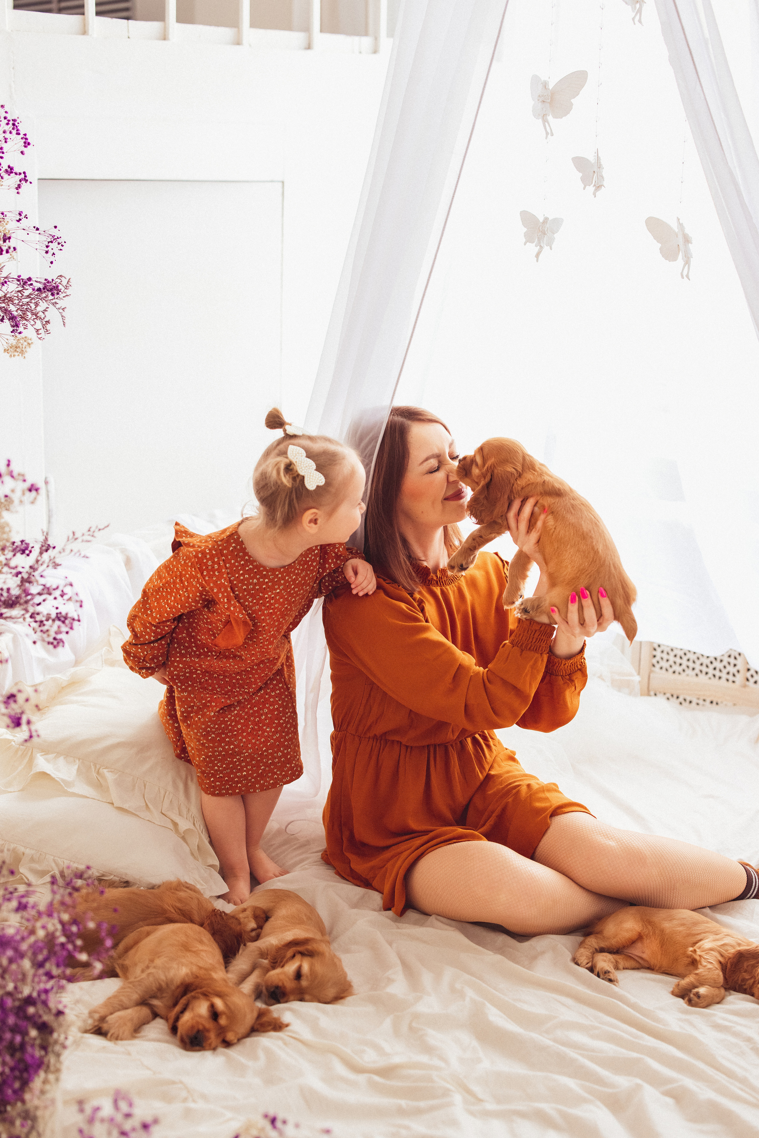 ЩЕНКИ (Кокер — спаниель). Семейный и детский фотограф в Краснодаре Анна Трашкова