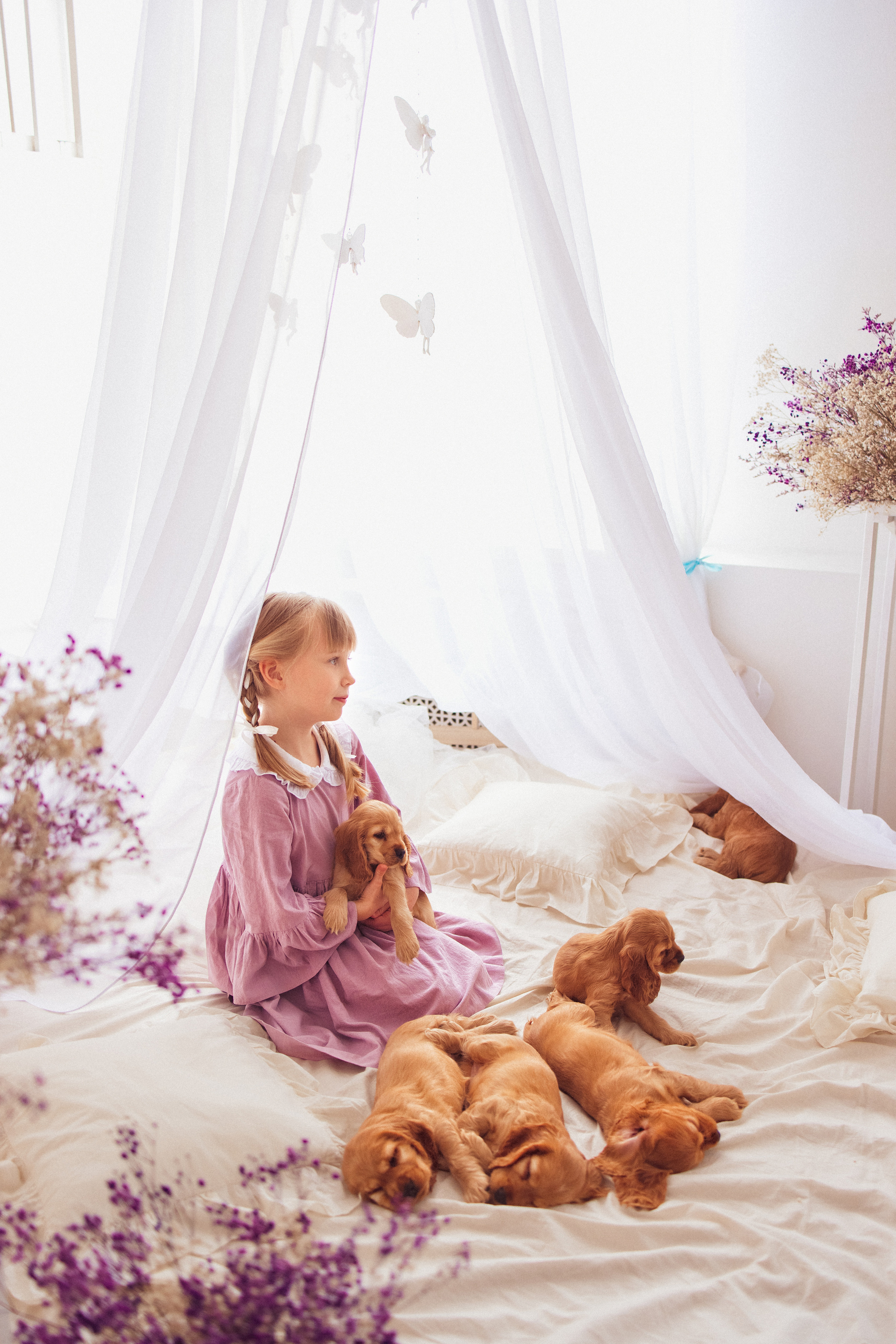 ЩЕНКИ (Кокер — спаниель). Семейный и детский фотограф в Краснодаре Анна Трашкова