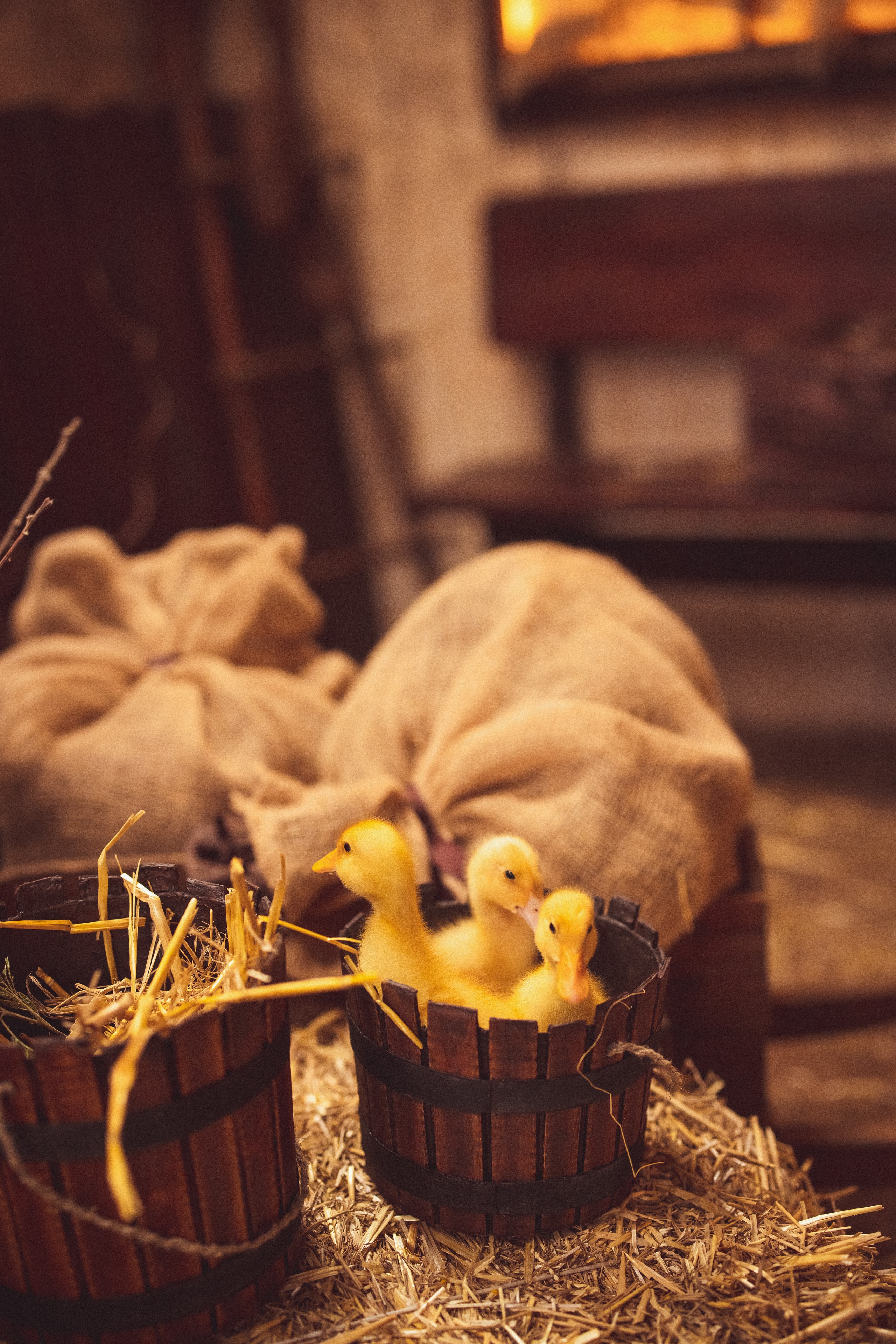 ПАСХА, Фотостудия «Эль» 2023 г. Семейный и детский фотограф в Краснодаре Анна Трашкова