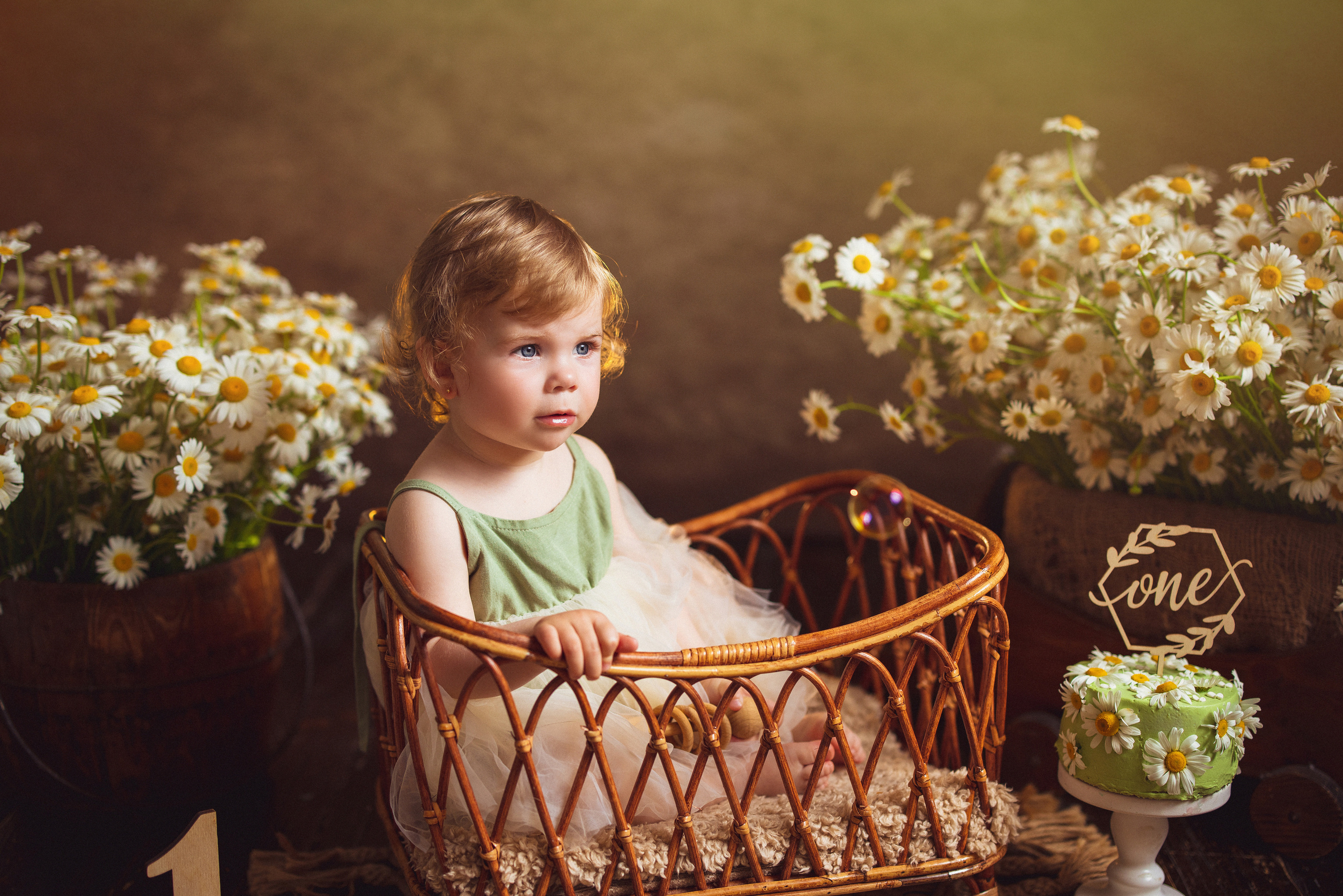 Ромашки, Фотостудия «АНТУРАЖ». Семейный и детский фотограф в Краснодаре Анна Трашкова