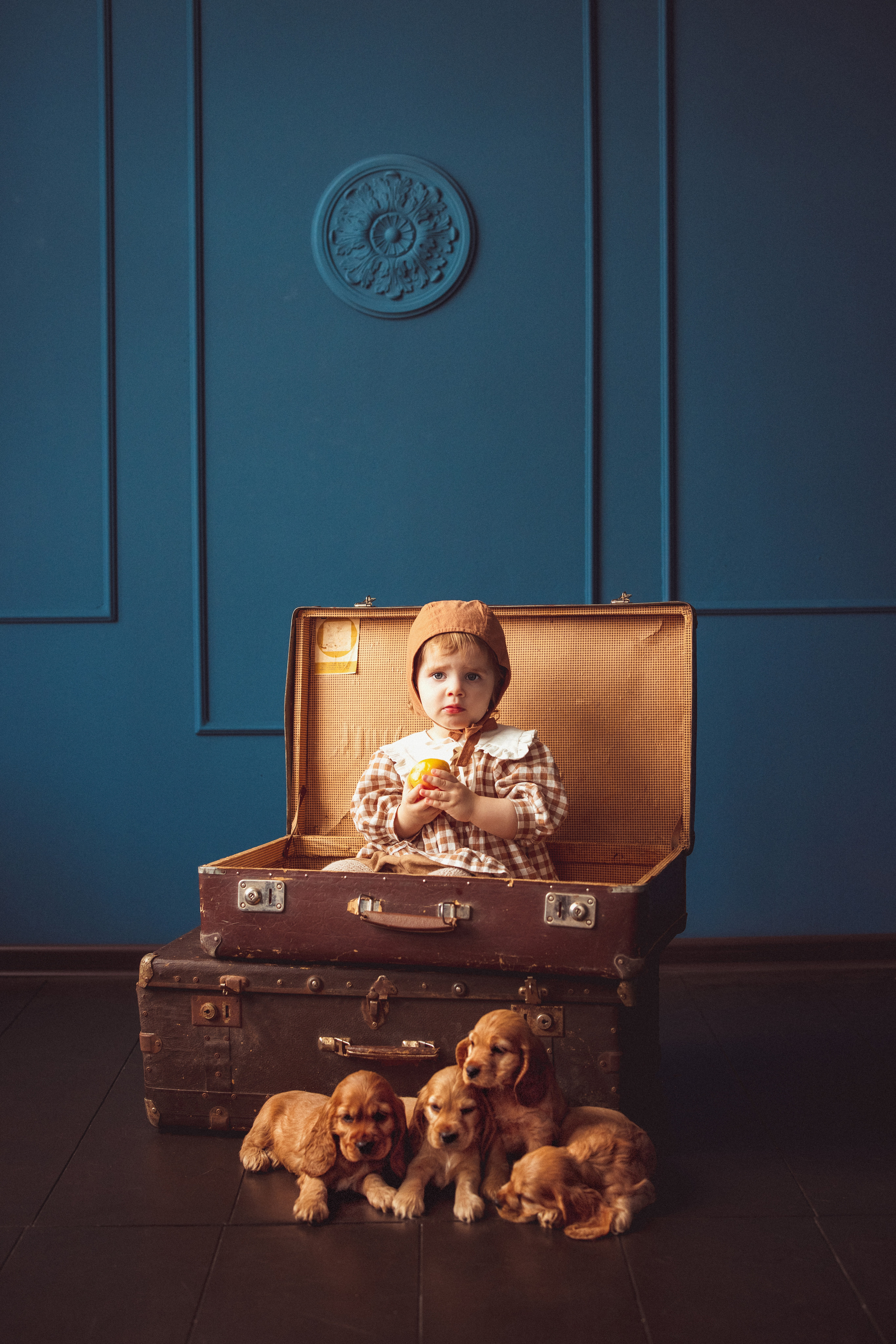 ЩЕНКИ (Кокер — спаниель). Семейный и детский фотограф в Краснодаре Анна Трашкова