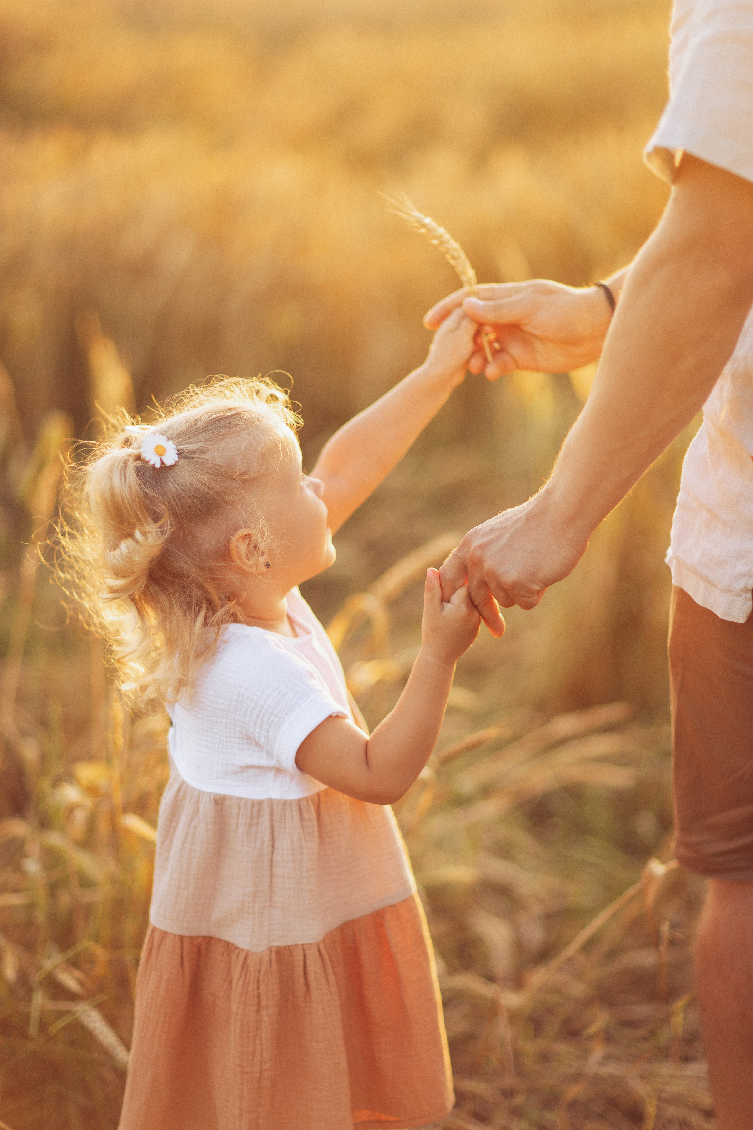 Пшеничное поле, семья Лизы. Семейный и детский фотограф в Краснодаре Анна Трашкова