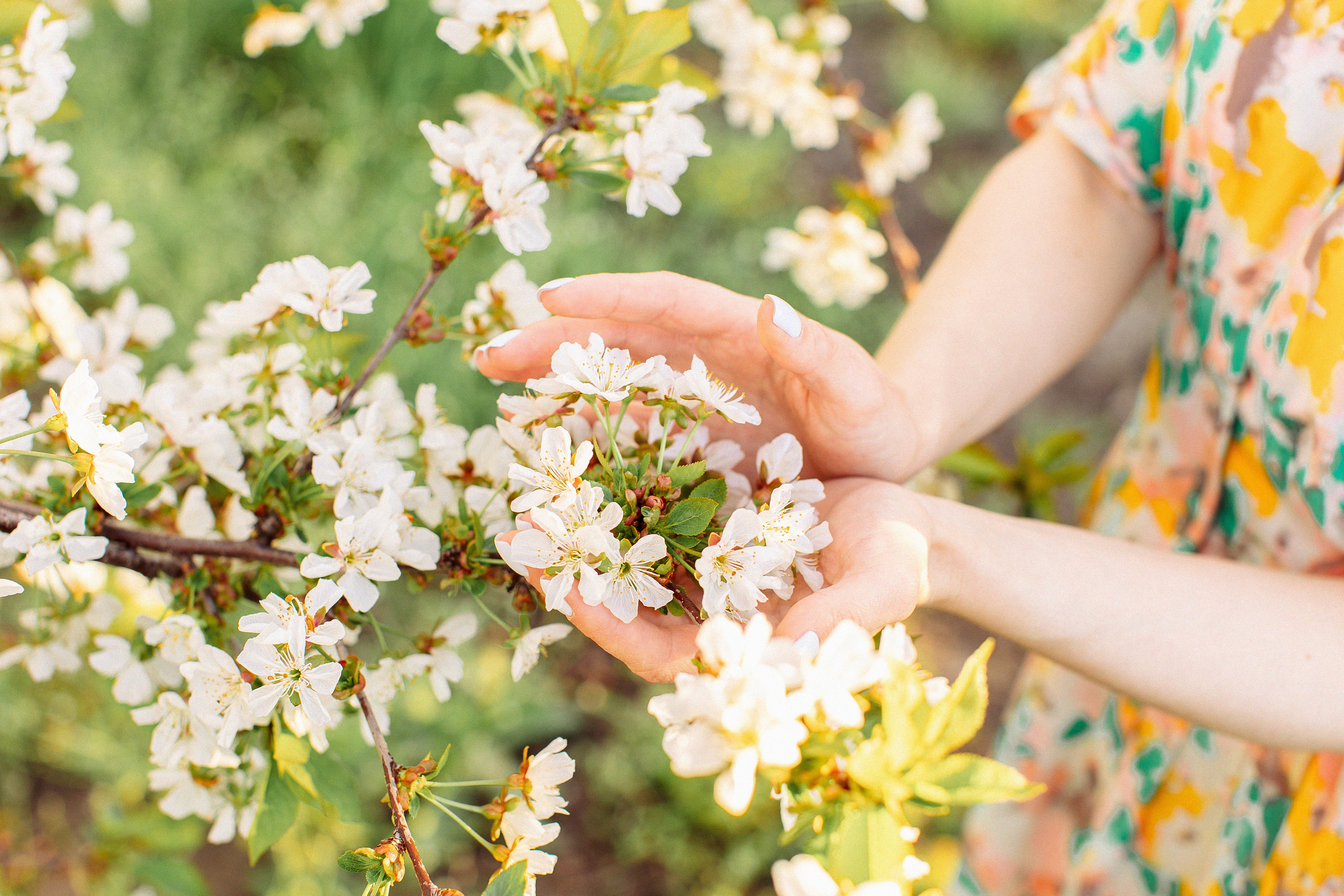 Цветущий сад, Девушка. Семейный и детский фотограф в Краснодаре Анна Трашкова