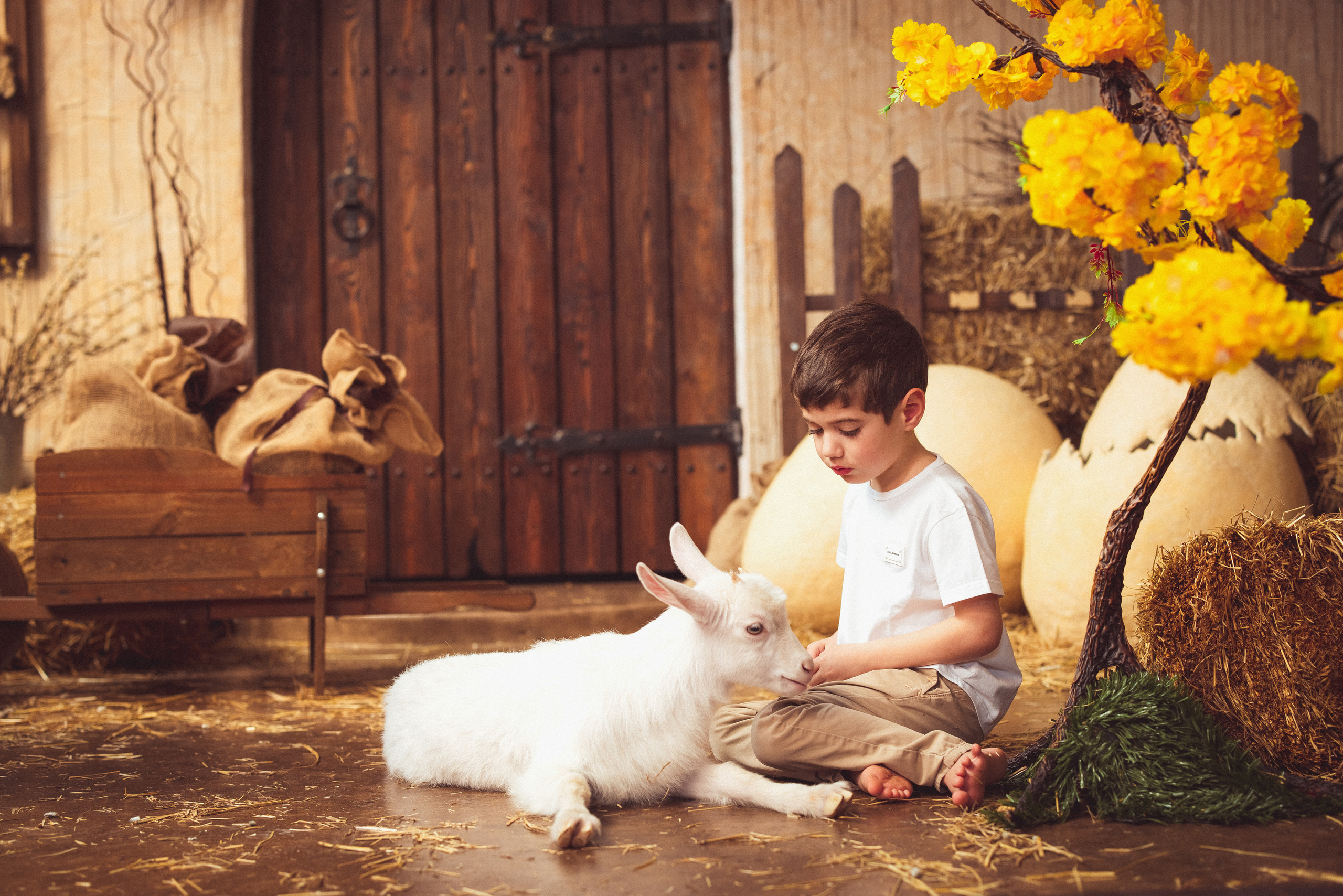 ПАСХА, Фотостудия «Эль» 2023 г. Семейный и детский фотограф в Краснодаре Анна Трашкова