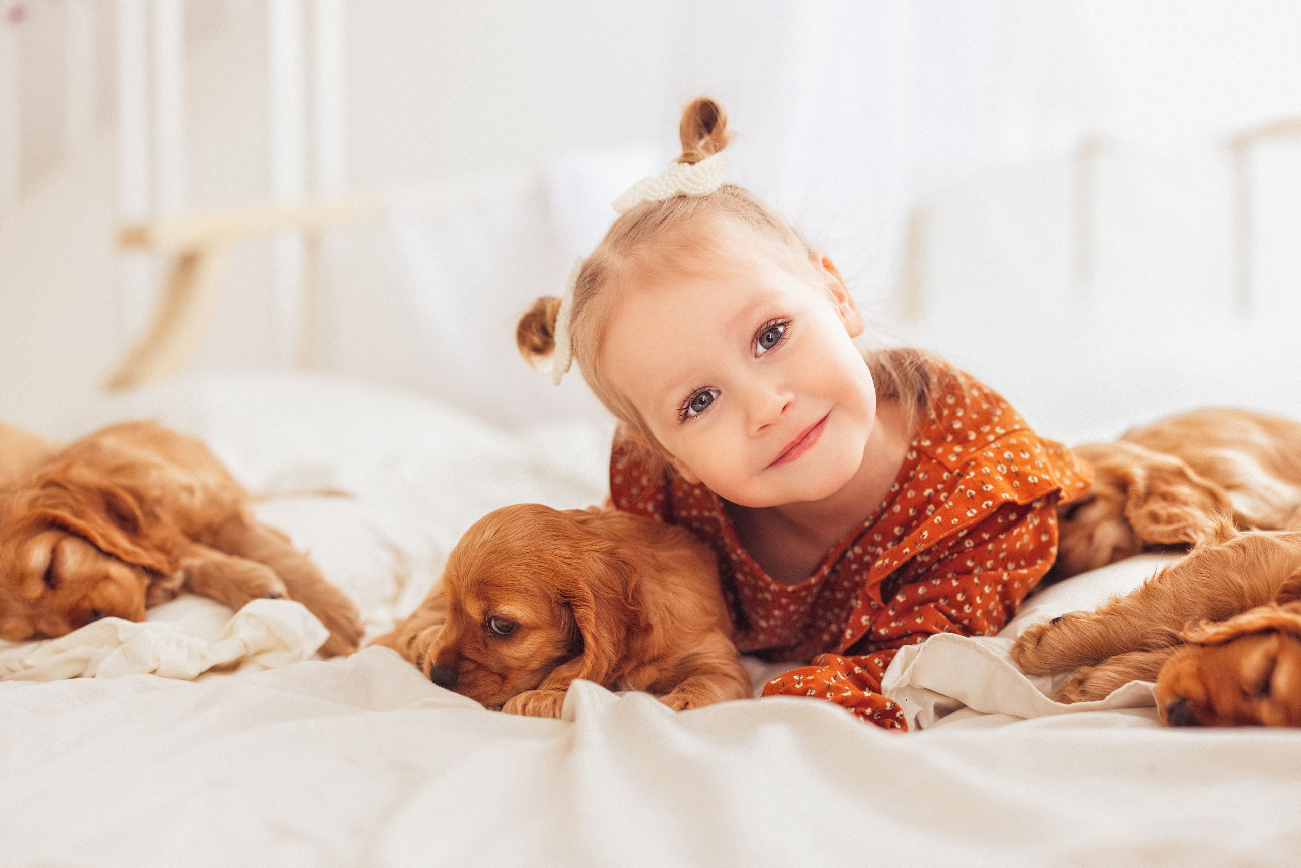 ЩЕНКИ (Кокер — спаниель). Семейный и детский фотограф в Краснодаре Анна Трашкова