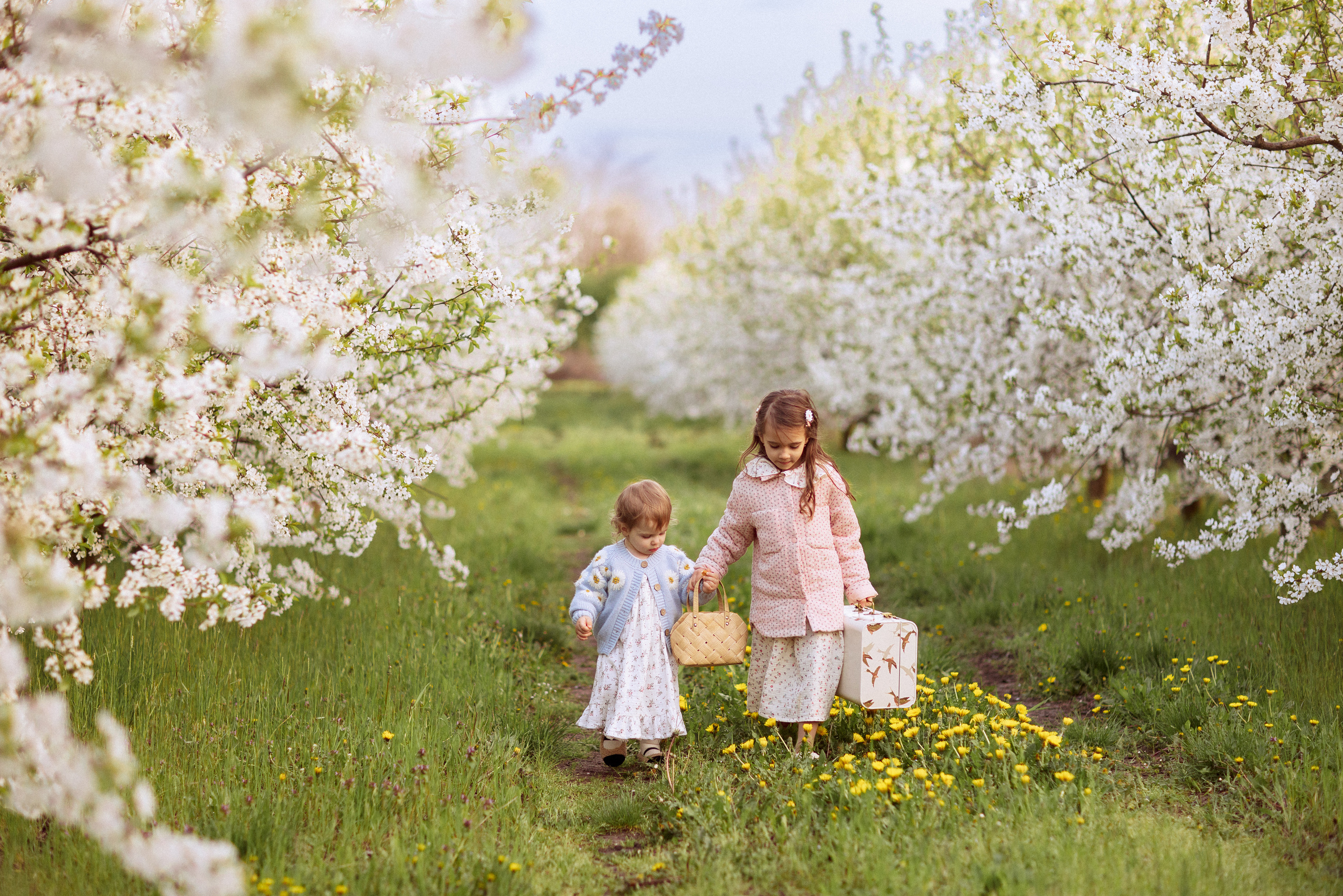 Фотосессия в цветущем саду, Краснодар. Семейный и детский фотограф в Краснодаре Анна Трашкова