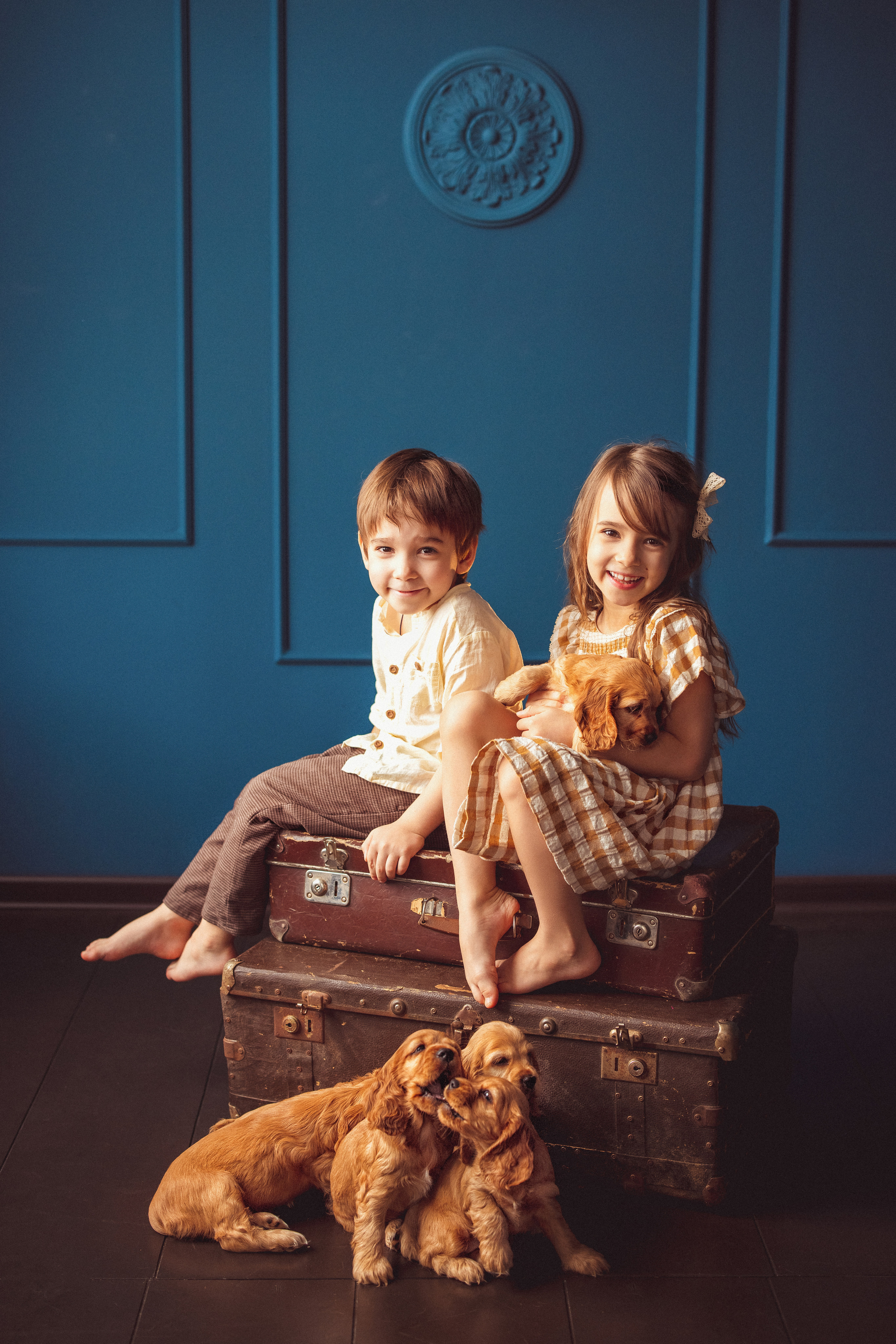 ЩЕНКИ (Кокер — спаниель). Семейный и детский фотограф в Краснодаре Анна Трашкова