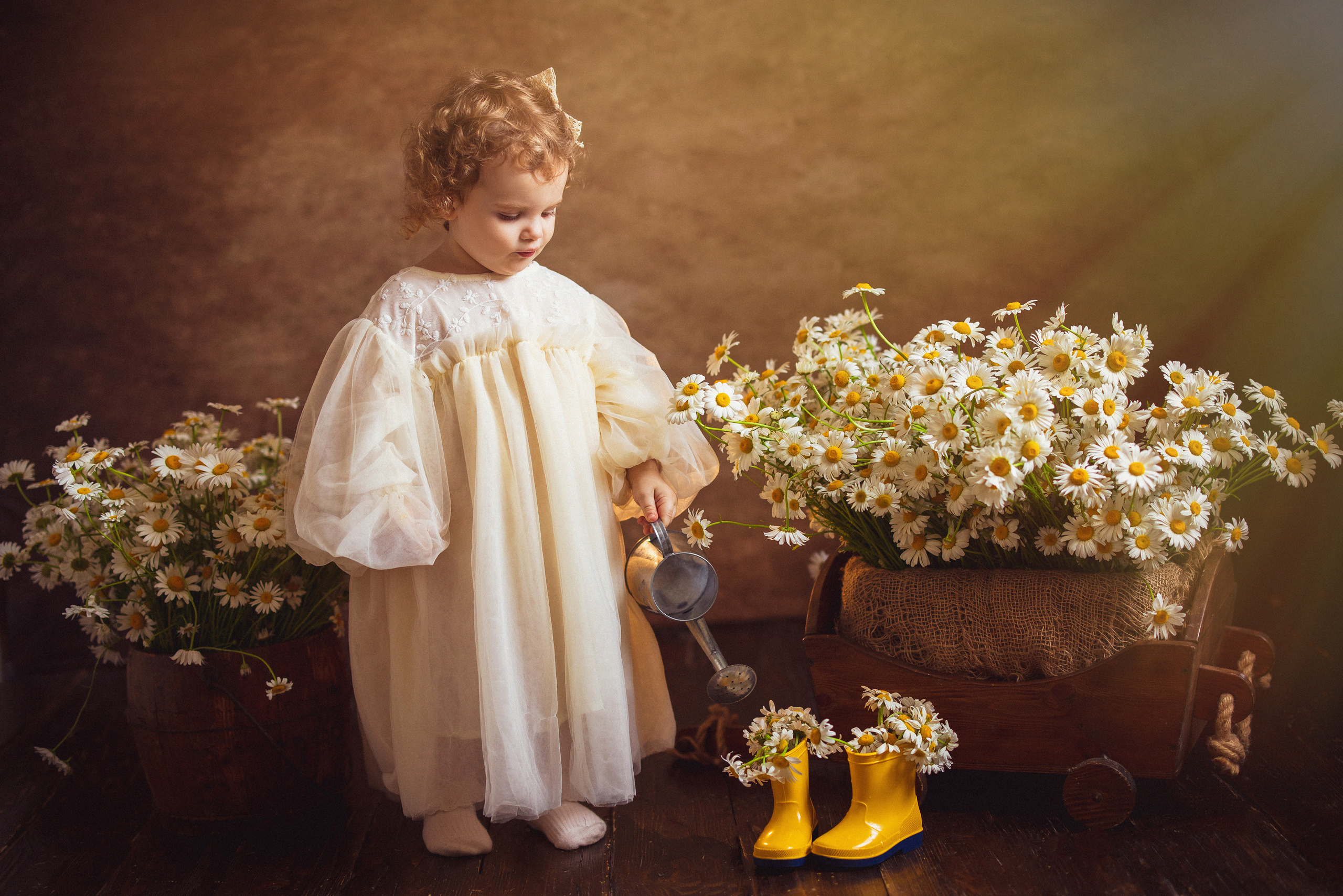Ромашки, Фотостудия «АНТУРАЖ». Семейный и детский фотограф в Краснодаре Анна Трашкова