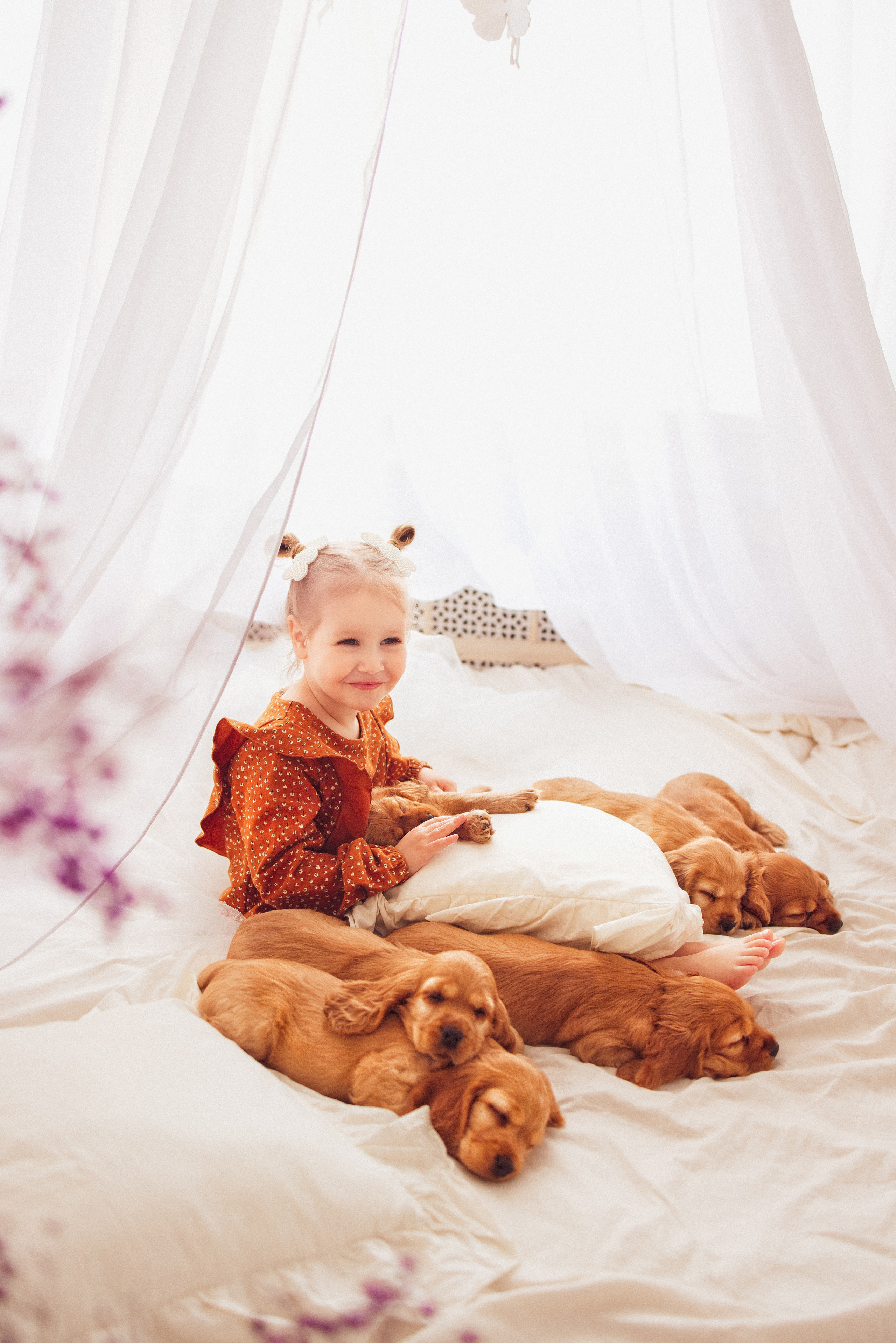 ЩЕНКИ (Кокер — спаниель). Семейный и детский фотограф в Краснодаре Анна Трашкова
