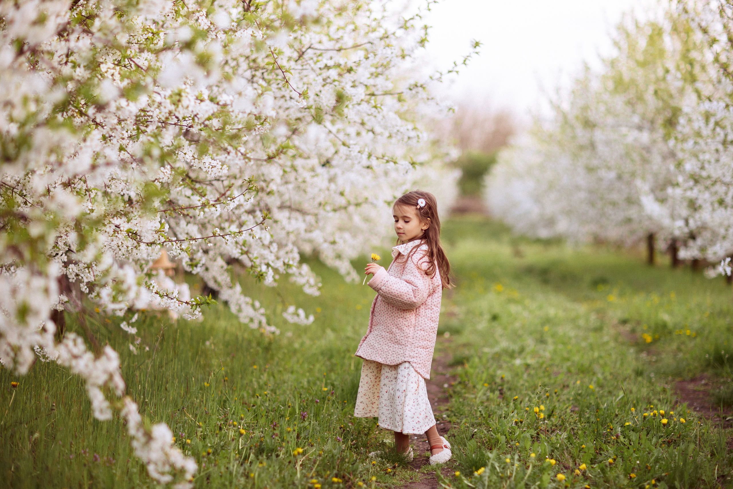 Фотосессия в цветущем саду, Краснодар. Семейный и детский фотограф в Краснодаре Анна Трашкова
