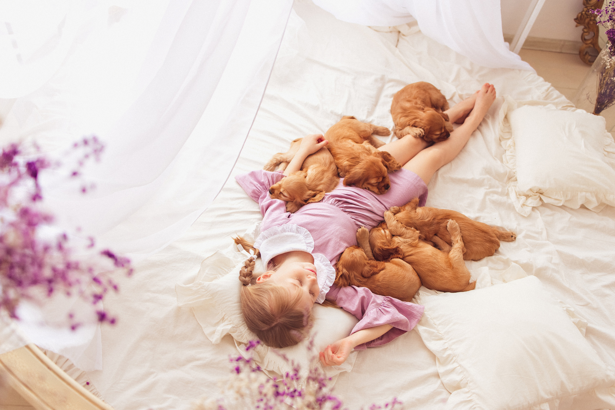 ЩЕНКИ (Кокер — спаниель). Семейный и детский фотограф в Краснодаре Анна Трашкова